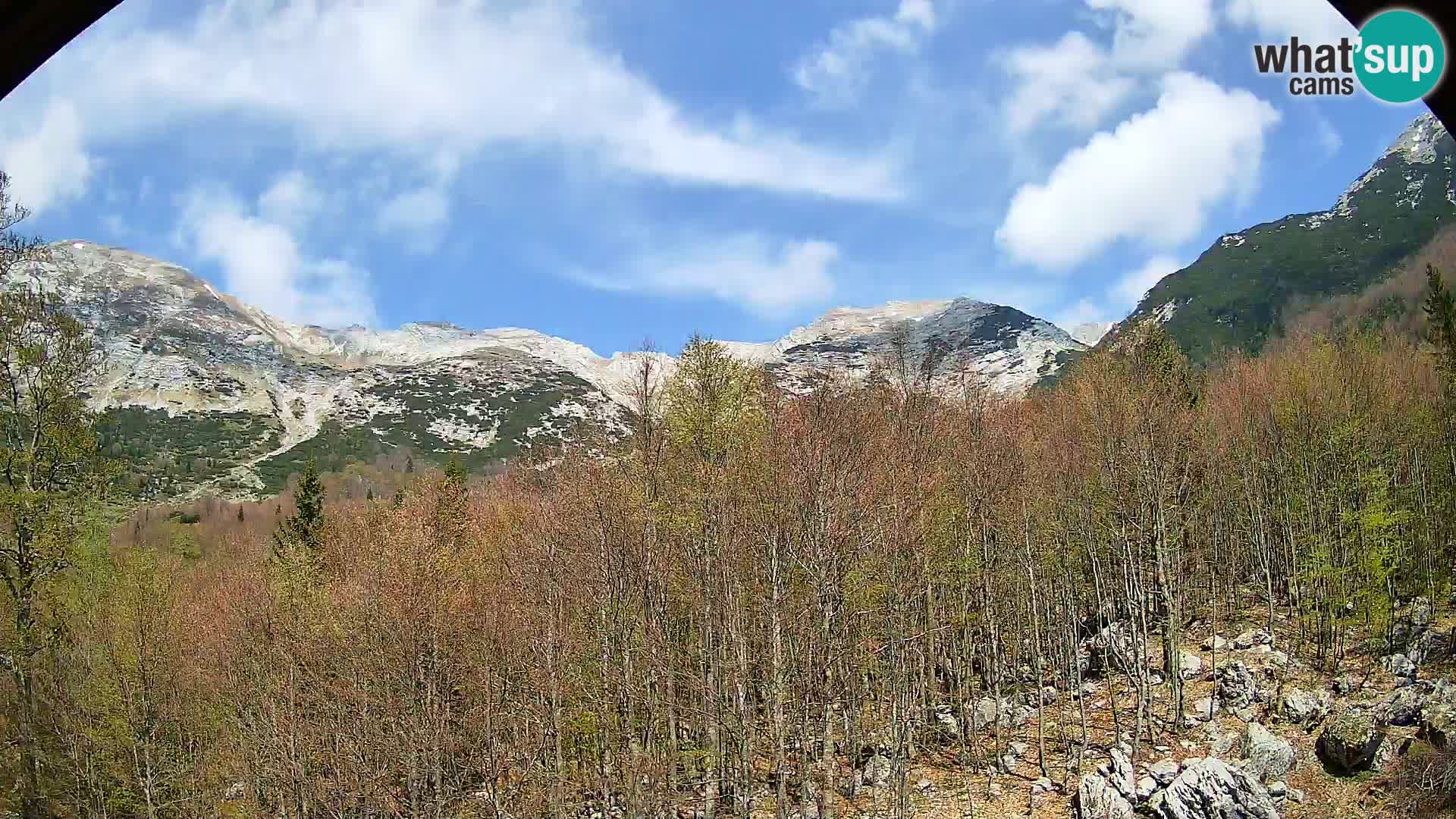 Webcam PLANINA RAZOR (1315) | Blick auf Vogel und Globoko