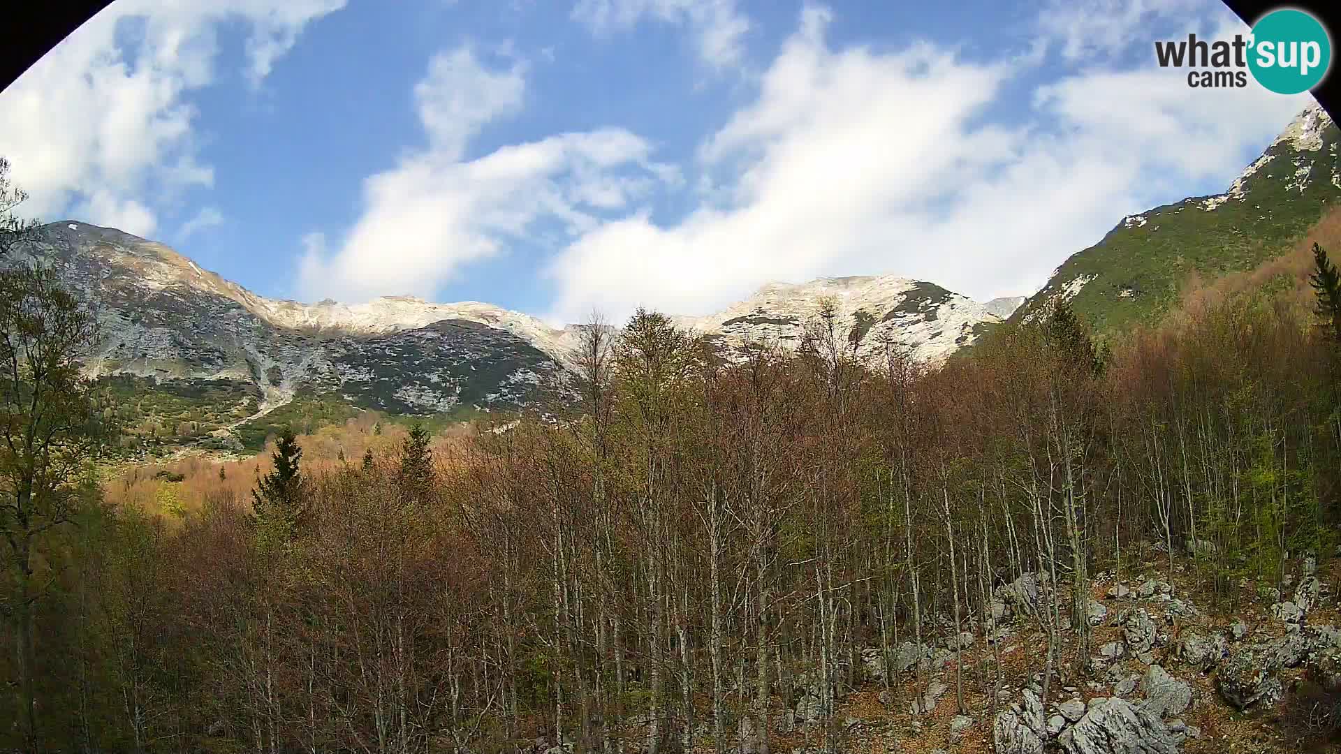 PLANINA RAZOR webcam (1315) | view to Vogel and Globoko