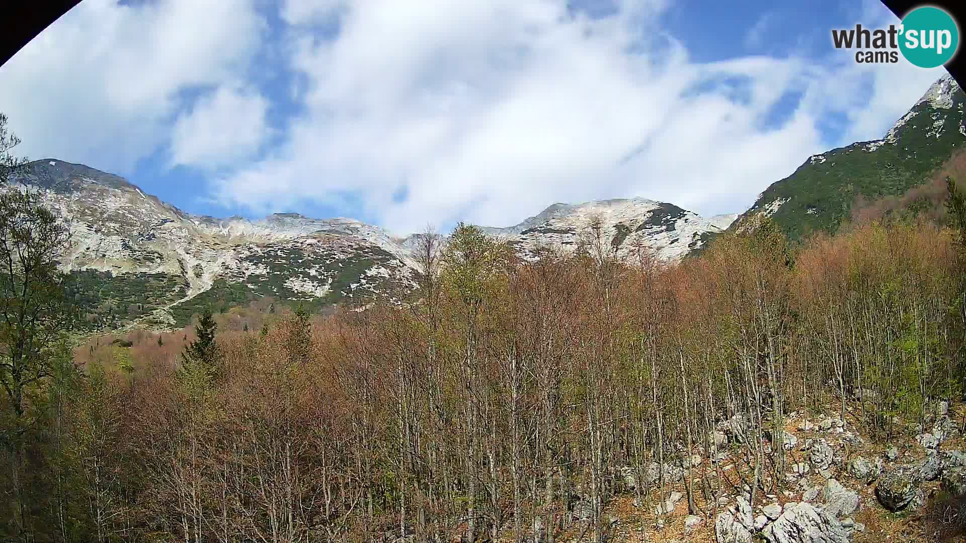 Webcam PLANINA RAZOR (1315) | Blick auf Vogel und Globoko