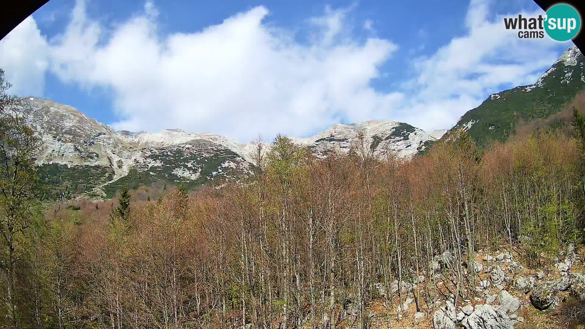 PLANINA RAZOR web kamera (1315) | pogled na Vogel i Globoko