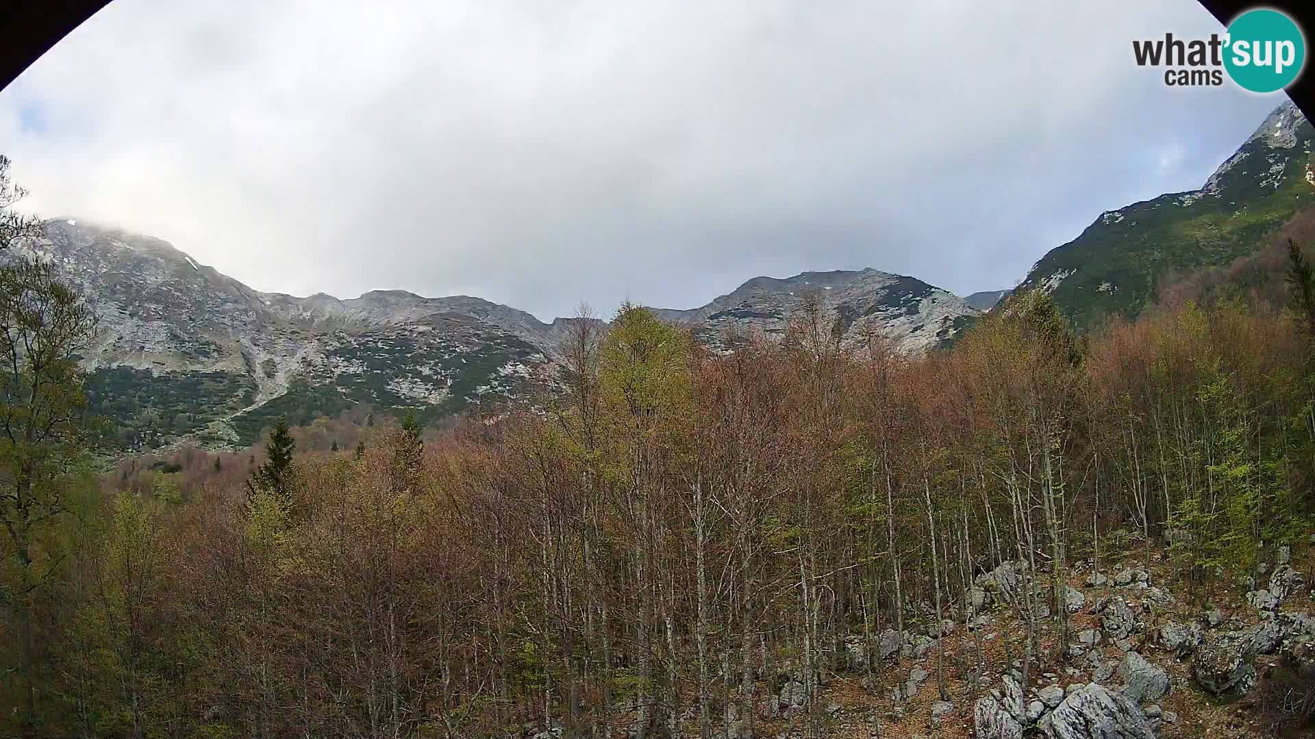 Webcam PLANINA RAZOR (1315) | Blick auf Vogel und Globoko