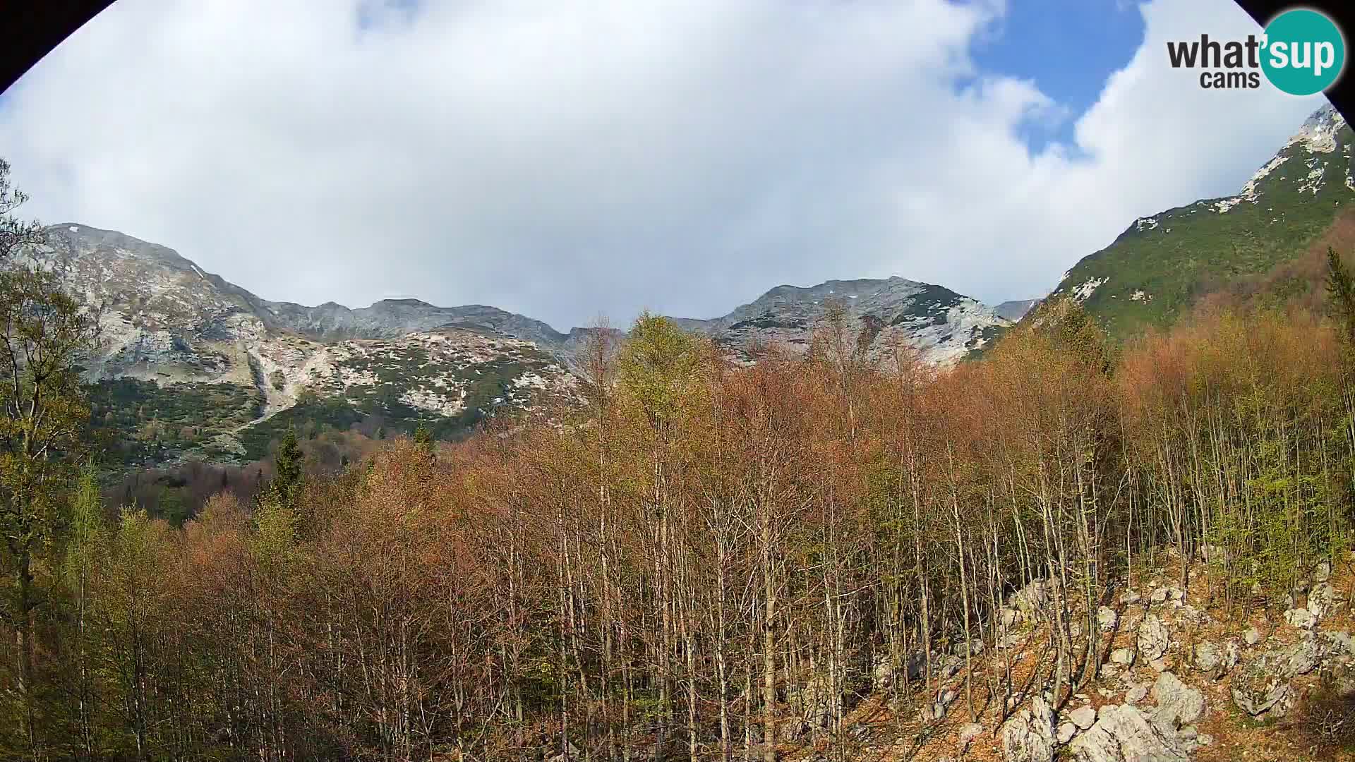 Cámara web PLANINA RAZOR (1315) | vista a Vogel y Globoko