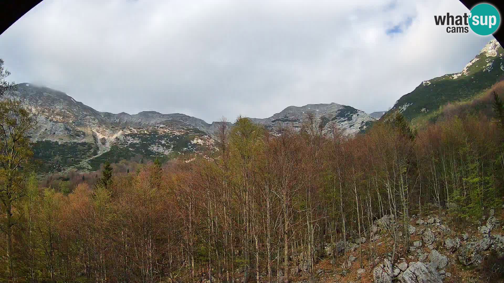 PLANINA RAZOR webcam (1315) | view to Vogel and Globoko