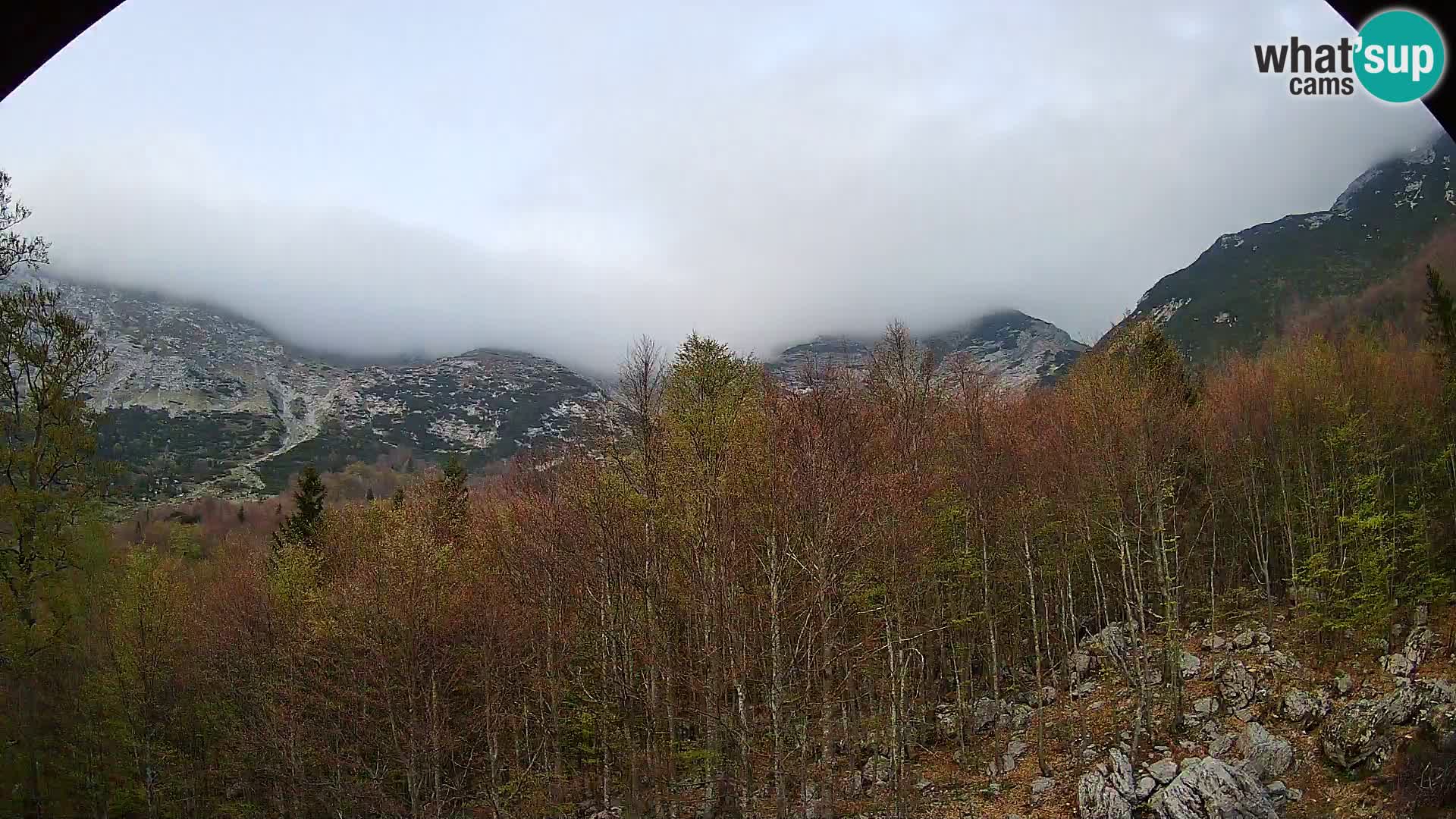 PLANINA RAZOR webcam (1315) | view to Vogel and Globoko