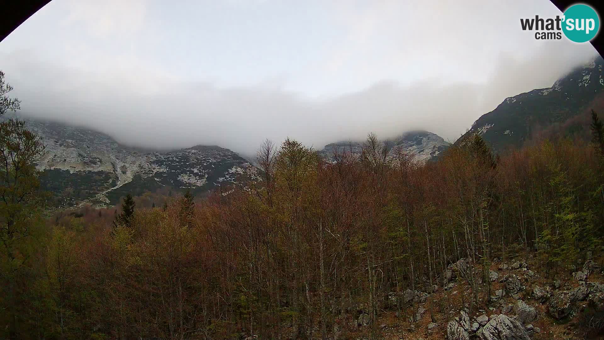 PLANINA RAZOR Live Cam (1315) | vista su Vogel e Globoko