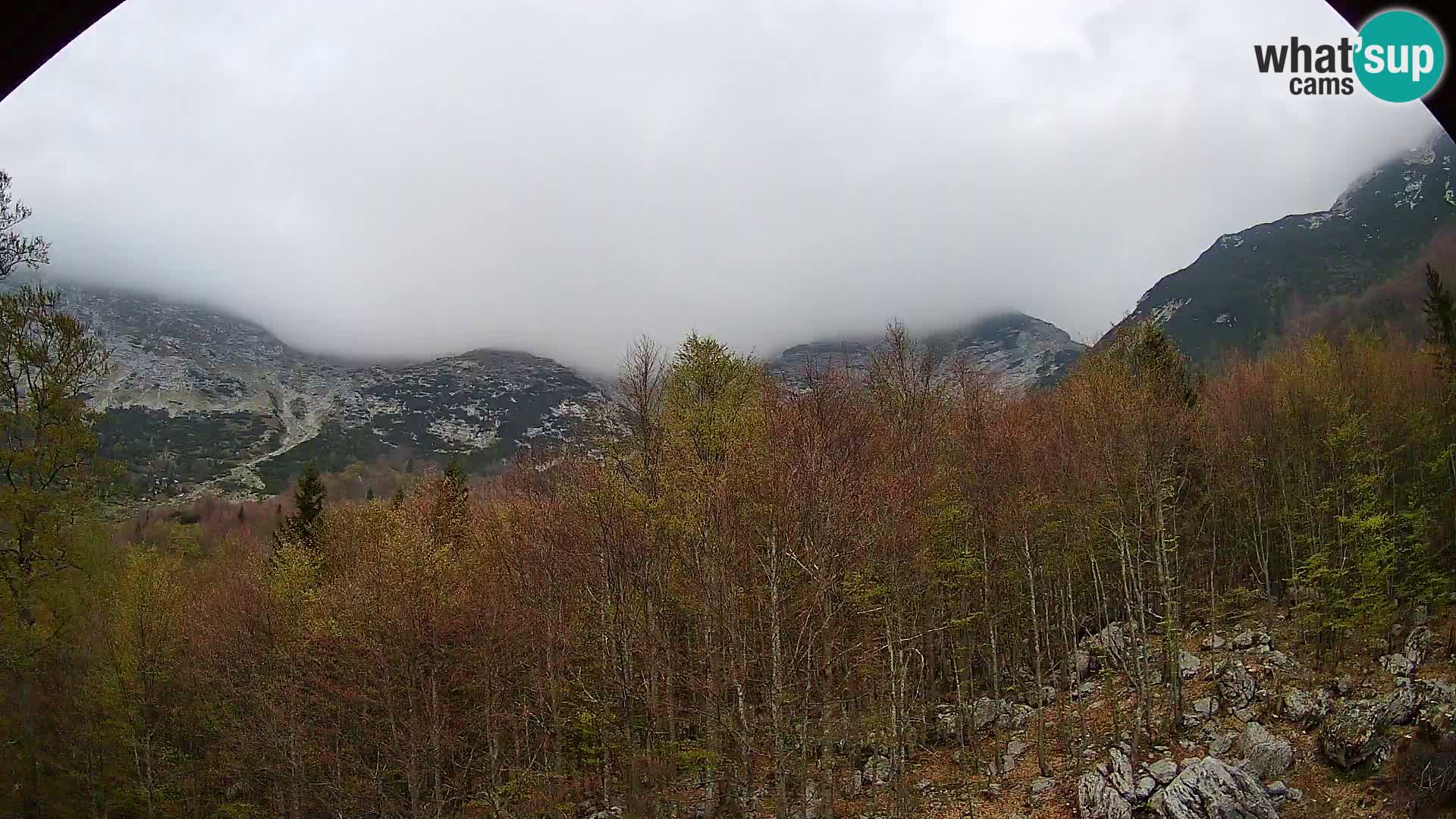 PLANINA RAZOR web kamera (1315) | pogled na Vogel i Globoko