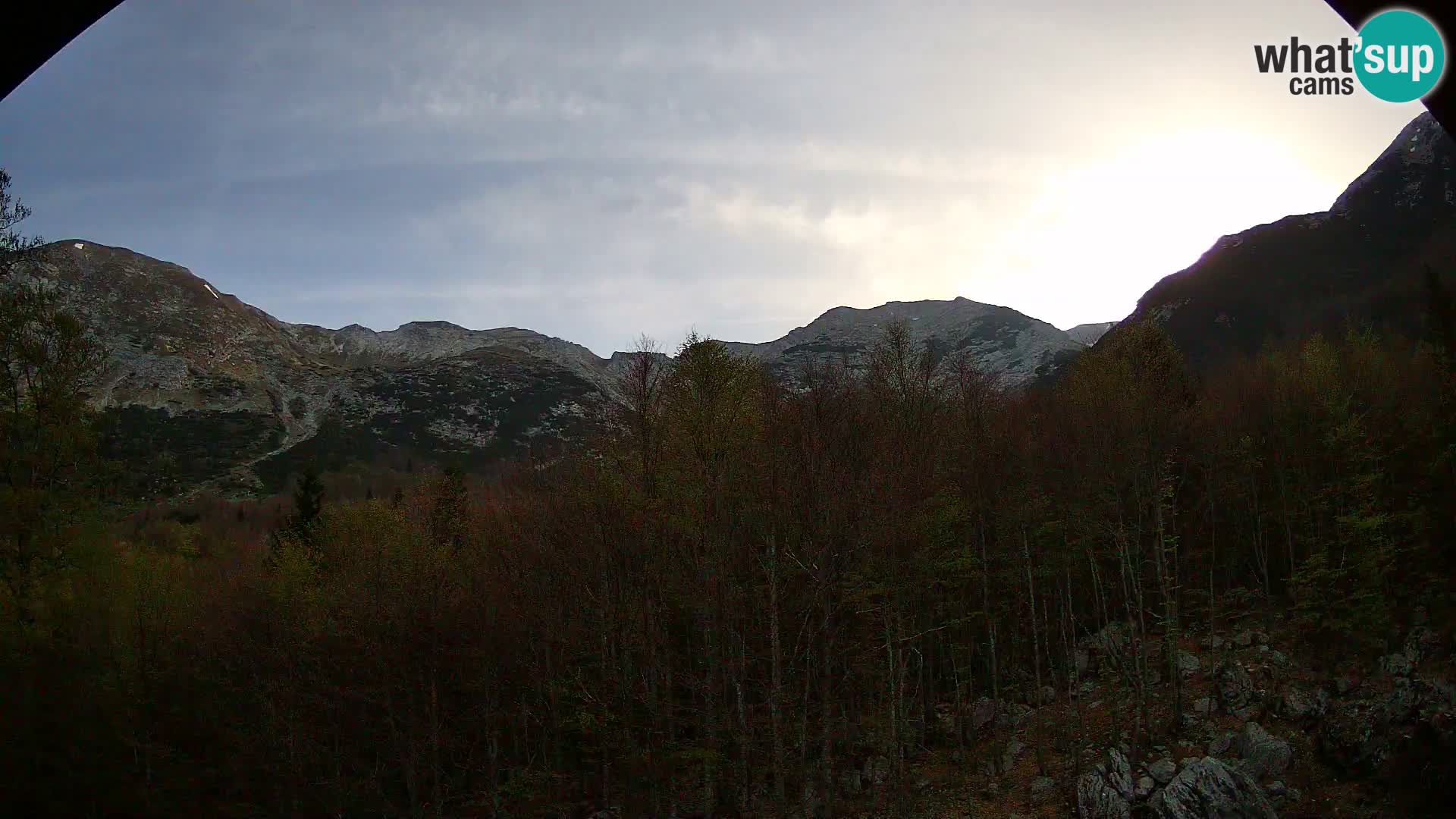 PLANINA RAZOR webcam (1315) | view to Vogel and Globoko