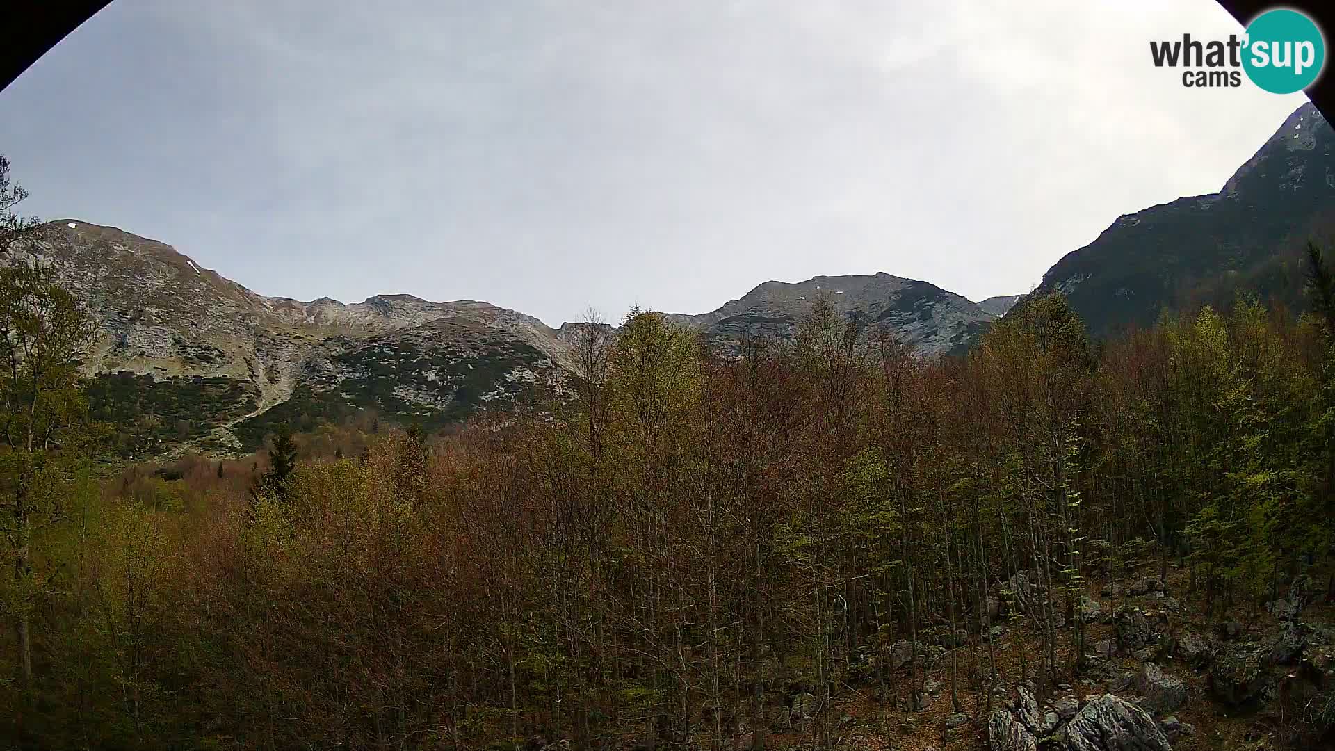 Livecam PLANINA RAZOR (1315) | vue sur Vogel et Globoko