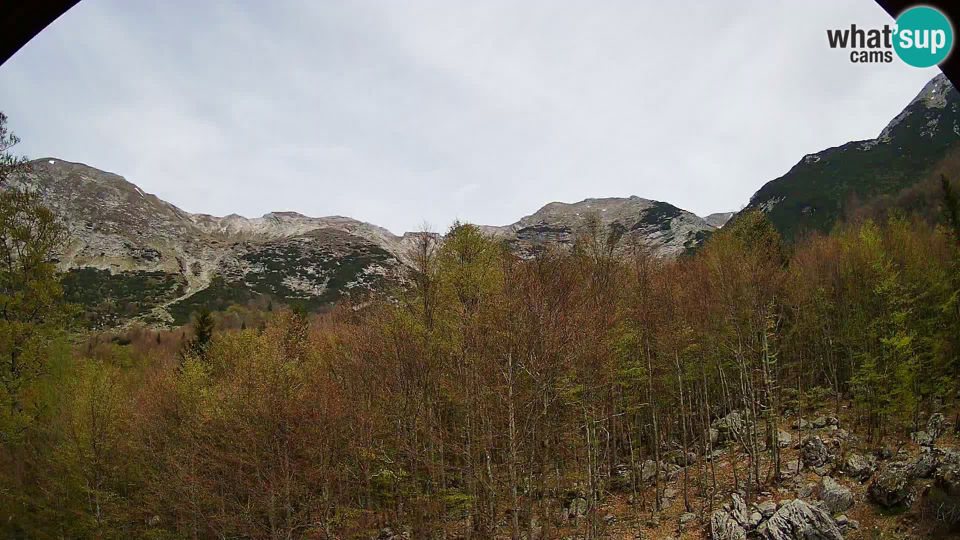 PLANINA RAZOR web kamera (1315) | pogled na Vogel i Globoko