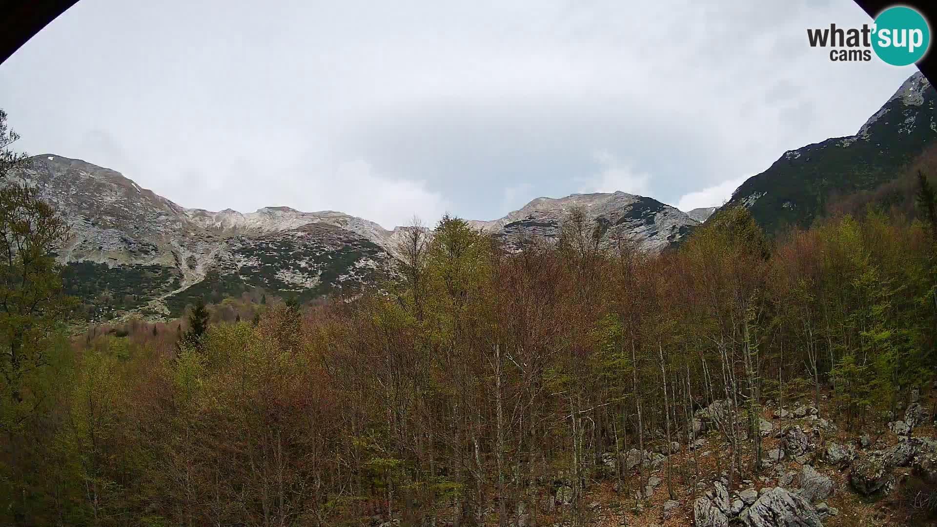Webcam PLANINA RAZOR (1315) | Blick auf Vogel und Globoko