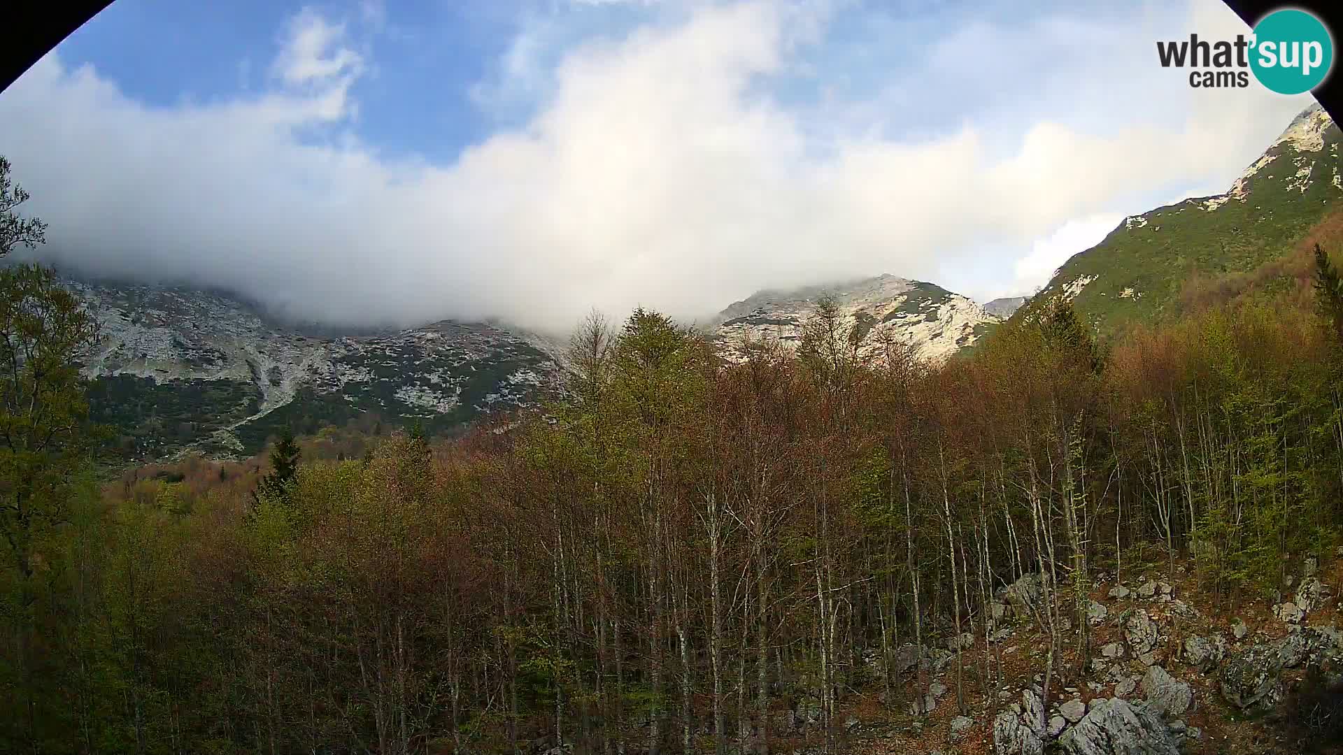 PLANINA RAZOR webcam (1315) | view to Vogel and Globoko