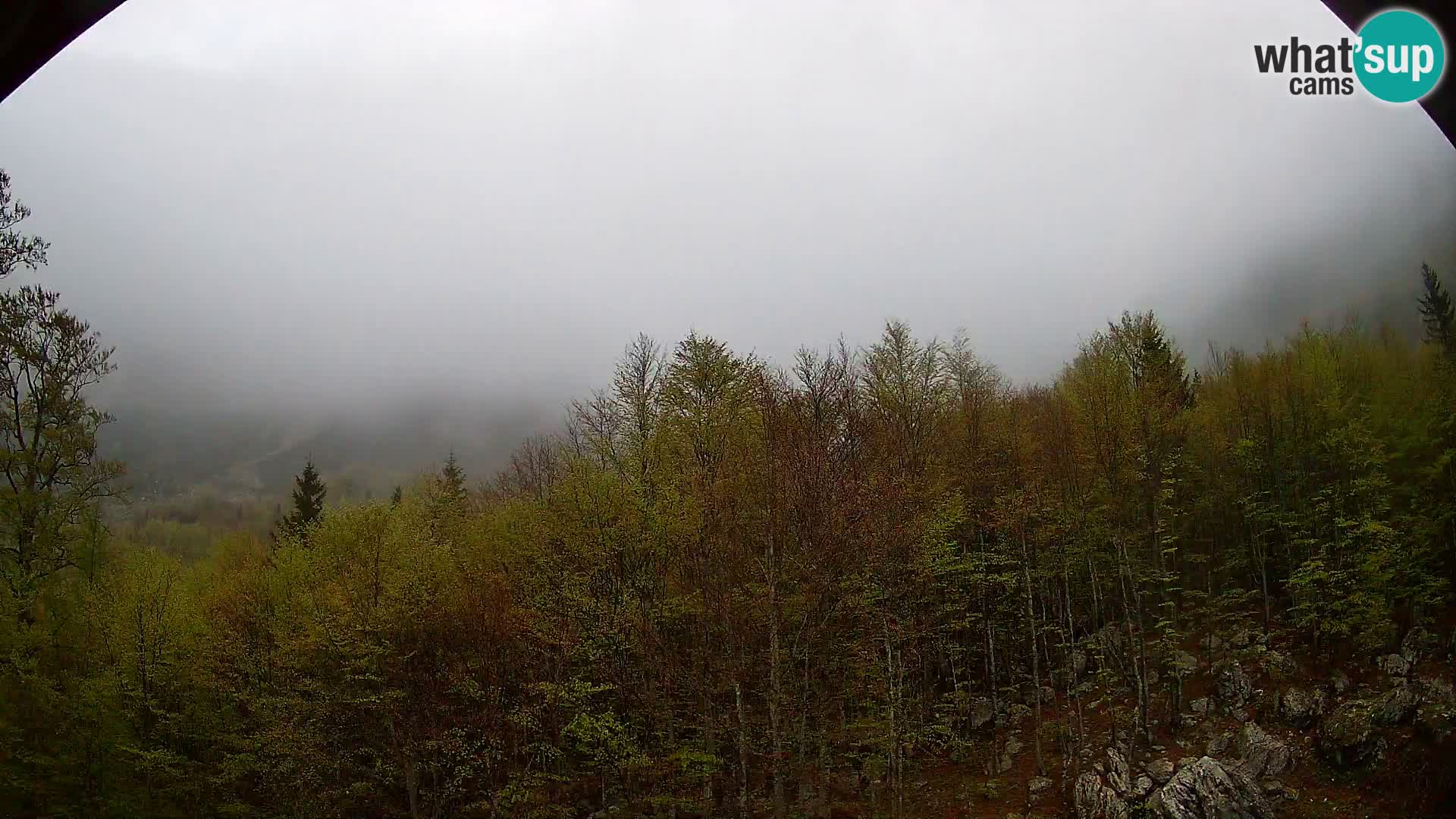 Webcam PLANINA RAZOR (1315) | Blick auf Vogel und Globoko