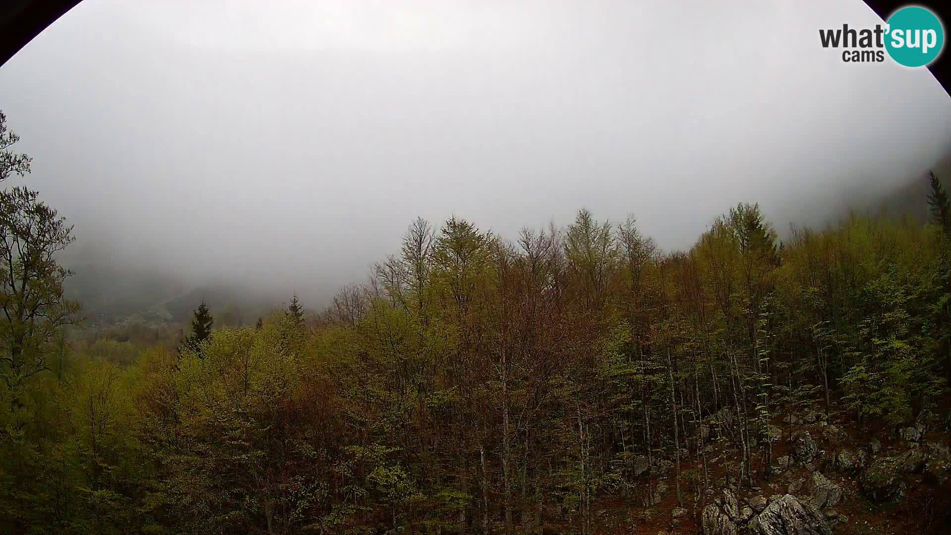 Livecam PLANINA RAZOR (1315) | vue sur Vogel et Globoko