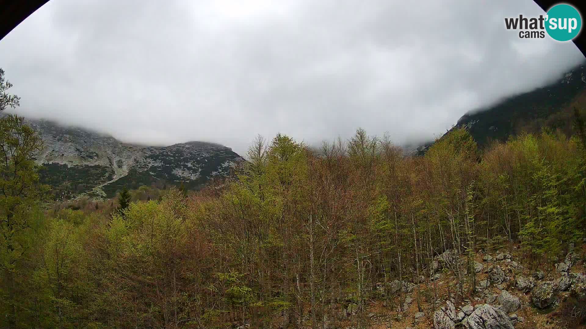 PLANINA RAZOR webcam (1315) | view to Vogel and Globoko