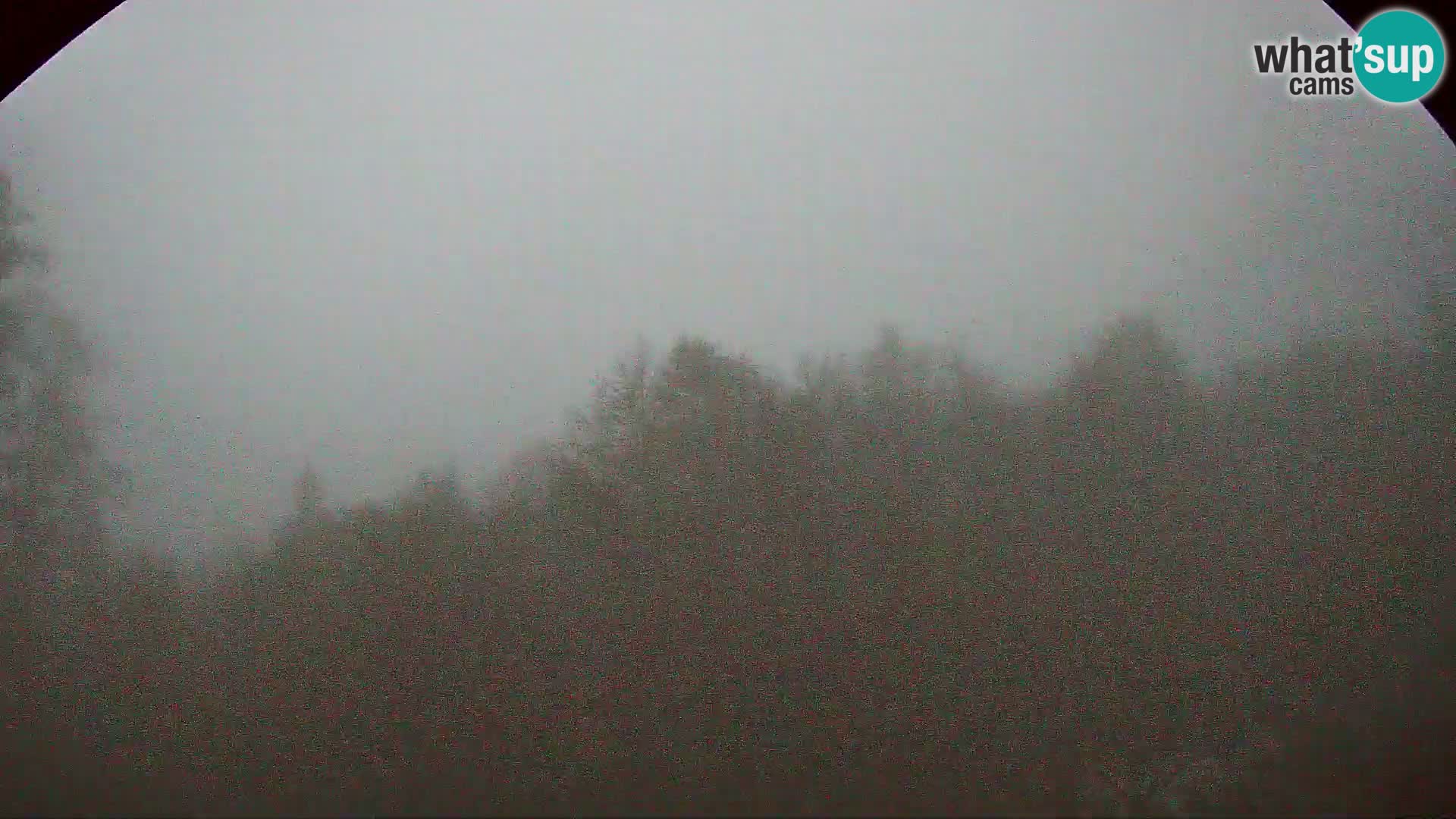 PLANINA RAZOR Live Cam (1315) | vista su Vogel e Globoko