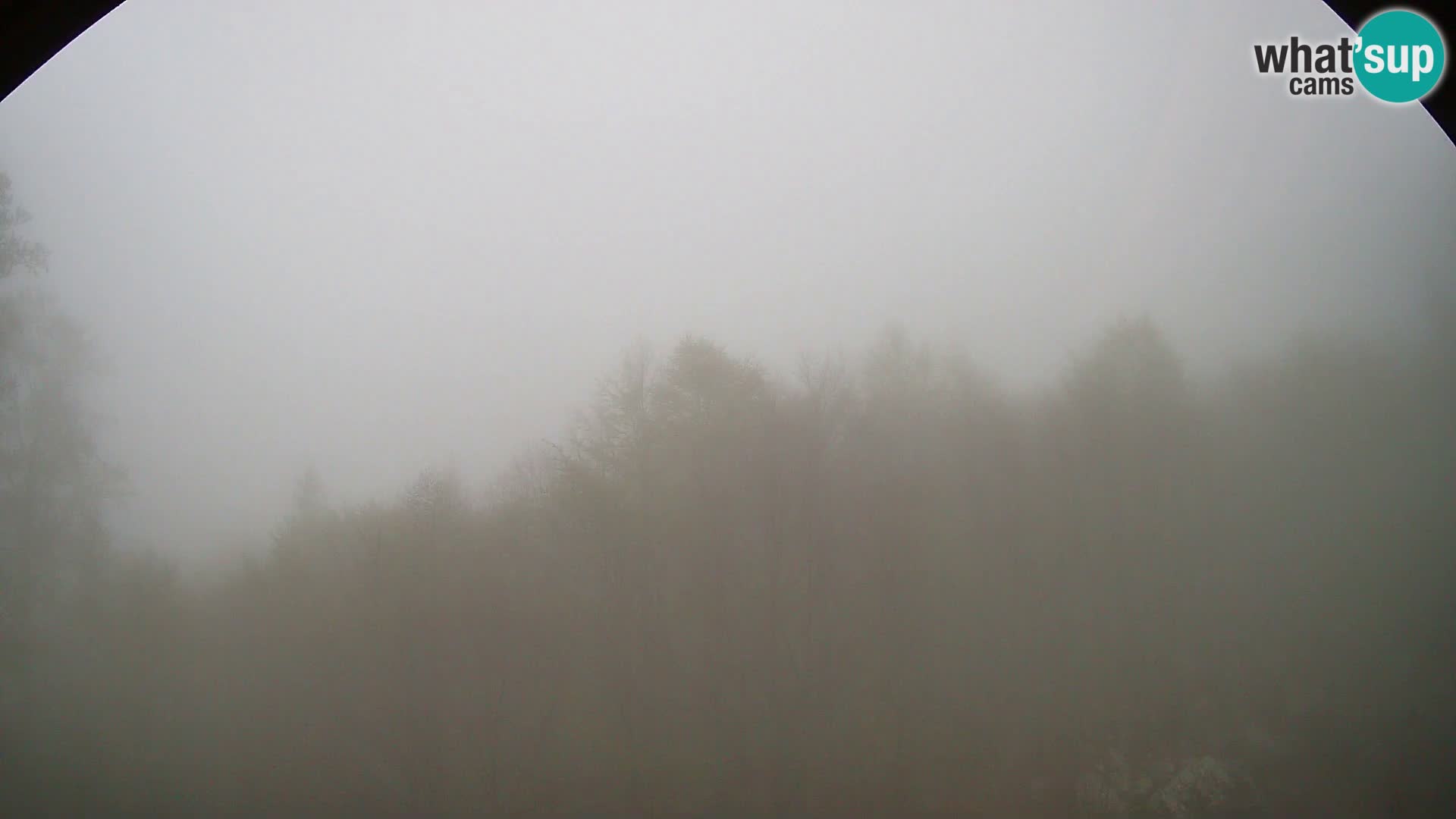 PLANINA RAZOR webcam (1315) | view to Vogel and Globoko