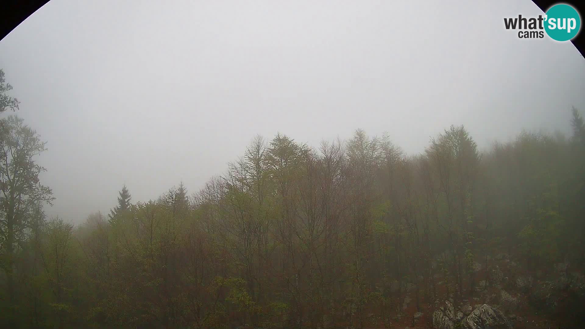 Livecam PLANINA RAZOR (1315) | vue sur Vogel et Globoko