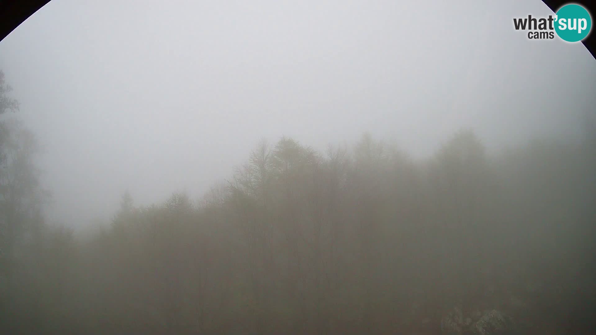 PLANINA RAZOR webcam (1315) | view to Vogel and Globoko