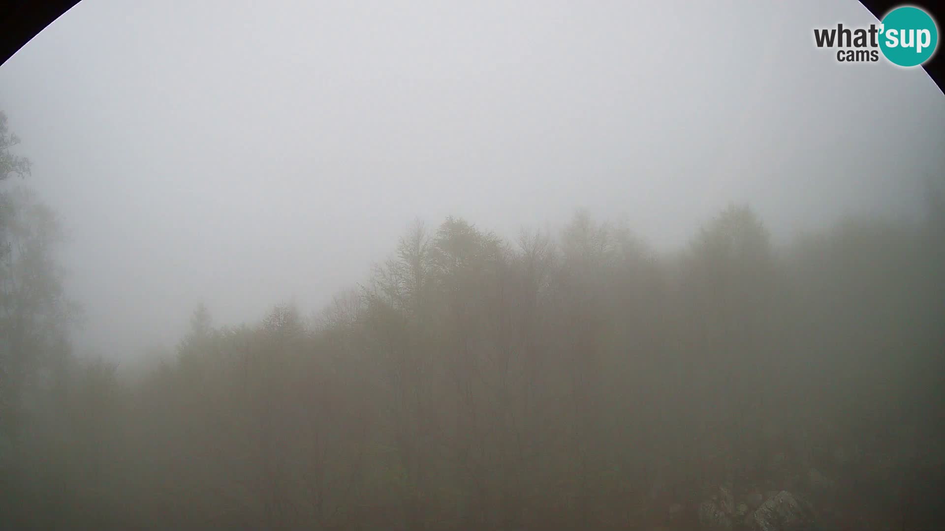 PLANINA RAZOR webcam (1315) | view to Vogel and Globoko
