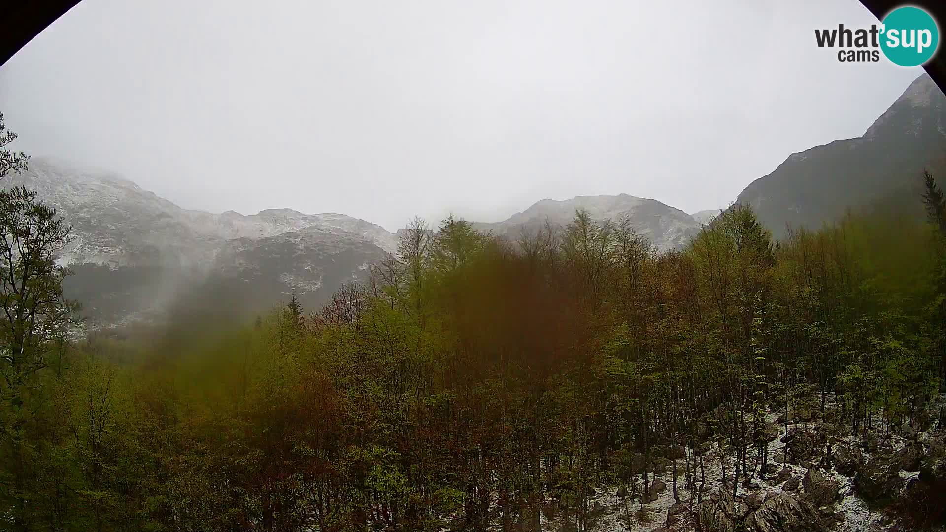 PLANINA RAZOR webcam (1315) | view to Vogel and Globoko