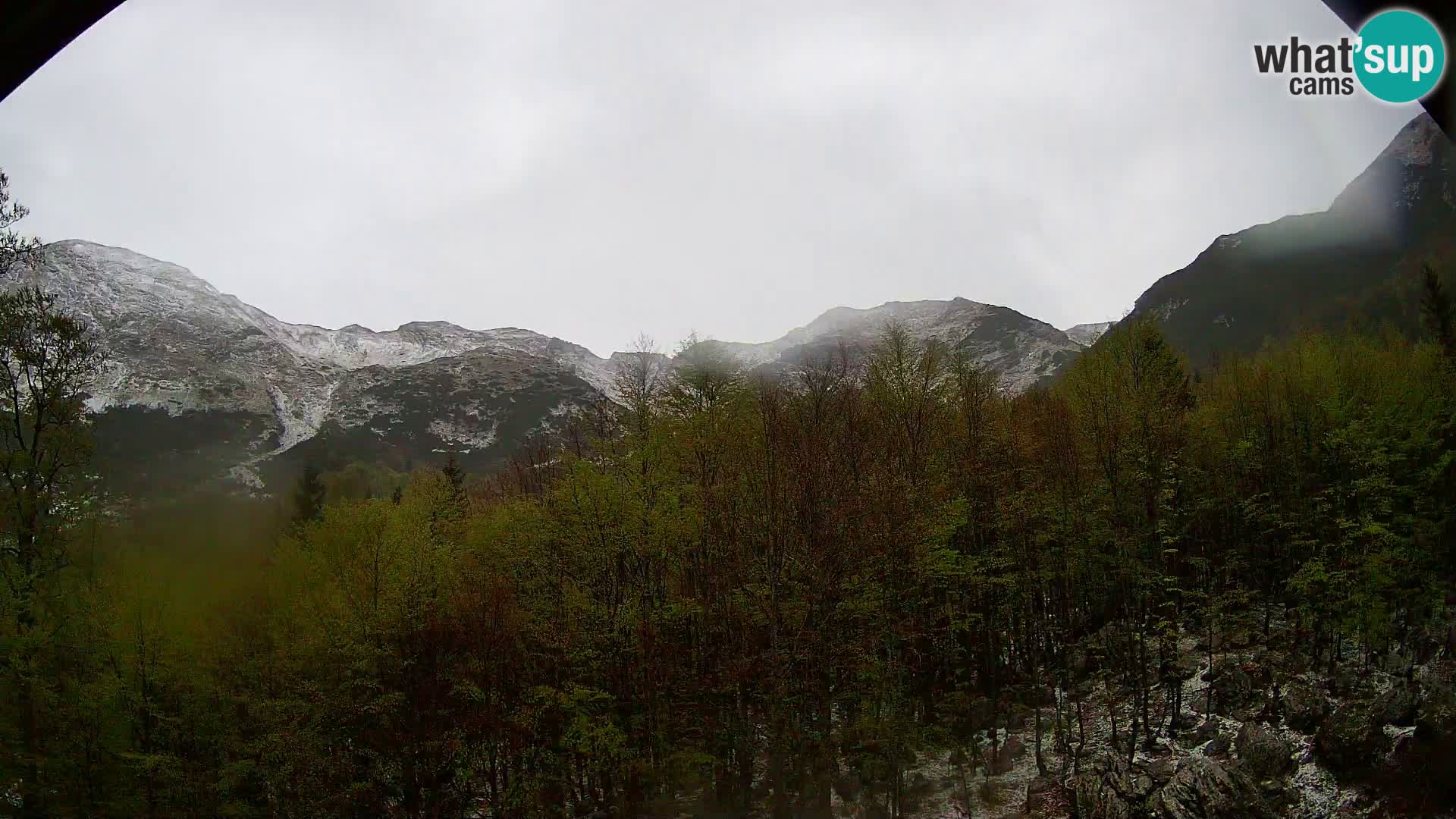 PLANINA RAZOR kamera (1315) | pogled na Vogel in Globoko