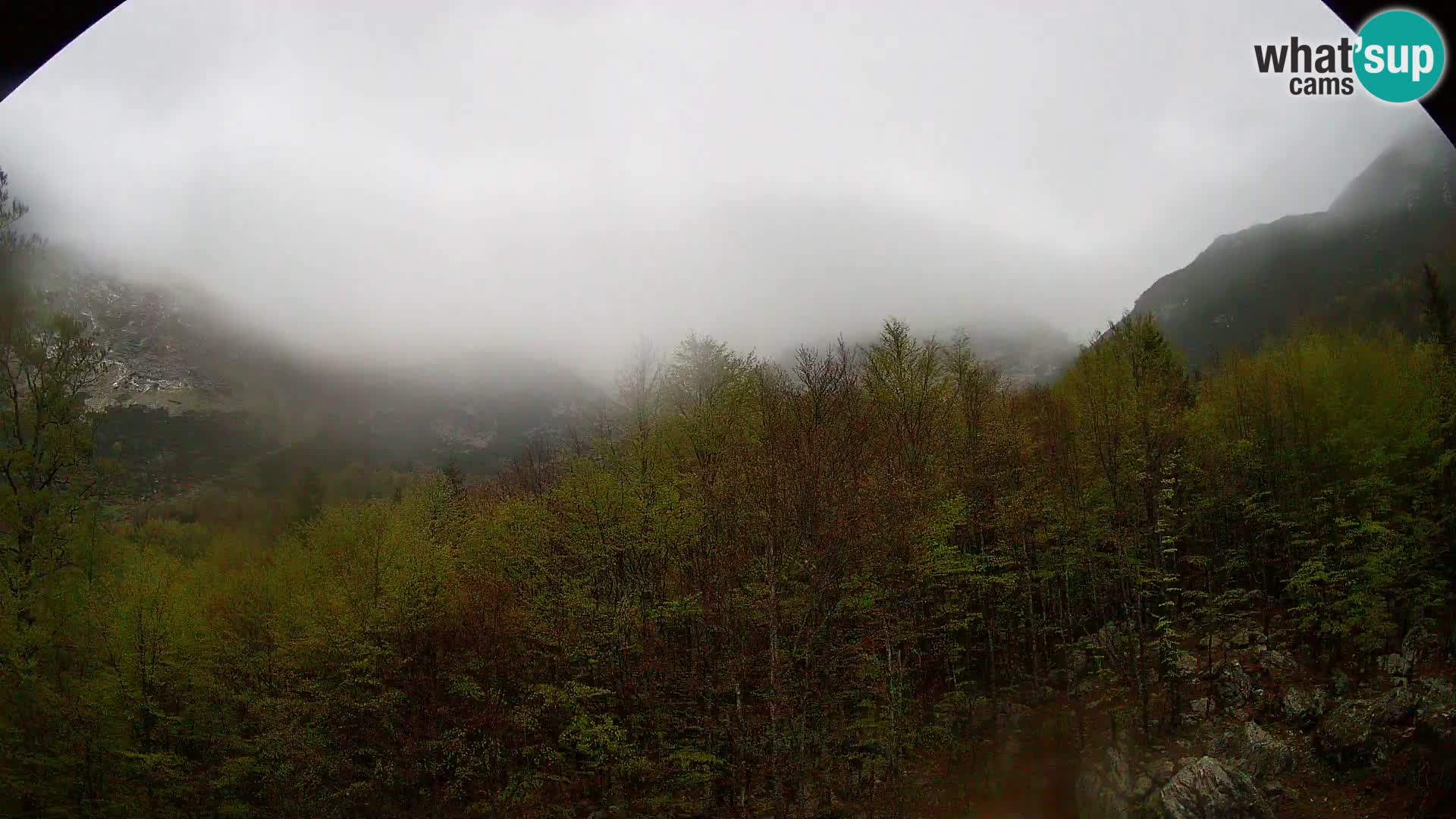 PLANINA RAZOR webcam (1315) | view to Vogel and Globoko
