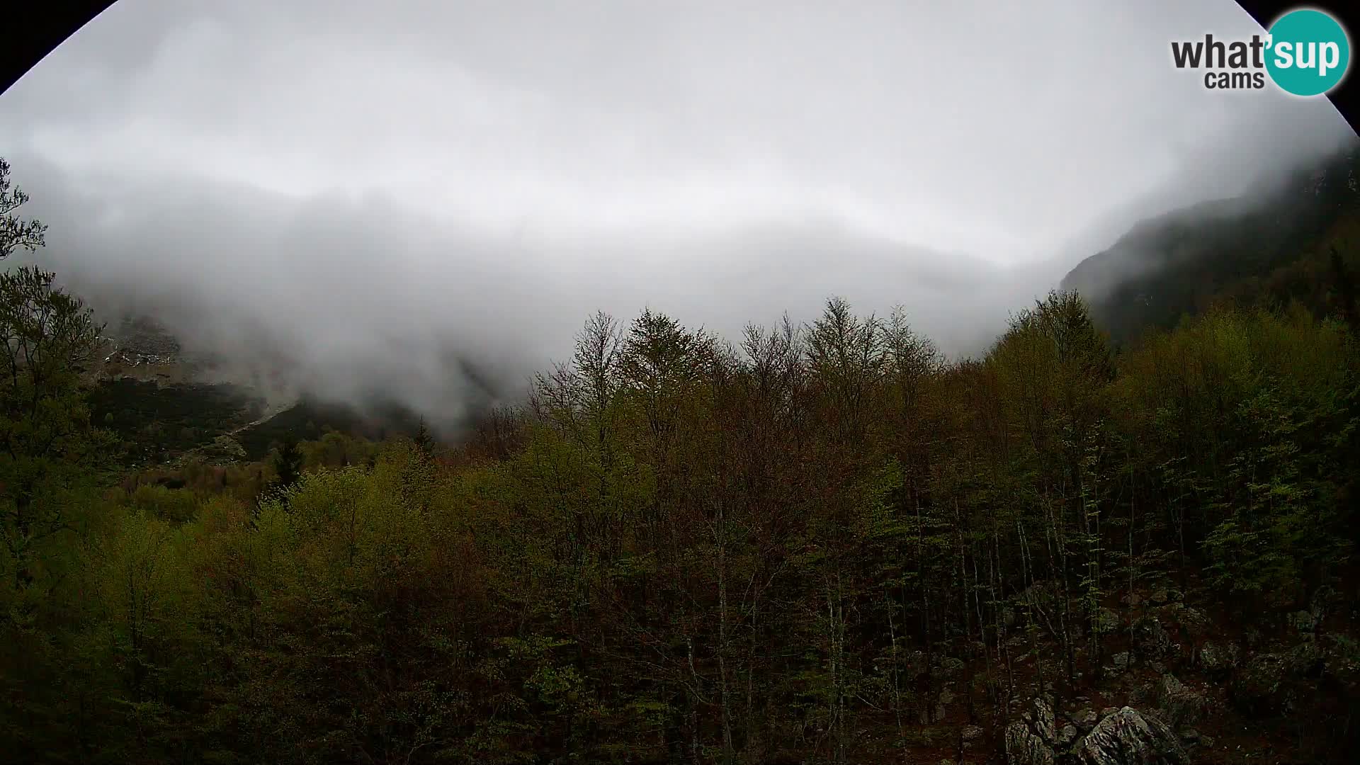 PLANINA RAZOR Live Cam (1315) | vista su Vogel e Globoko