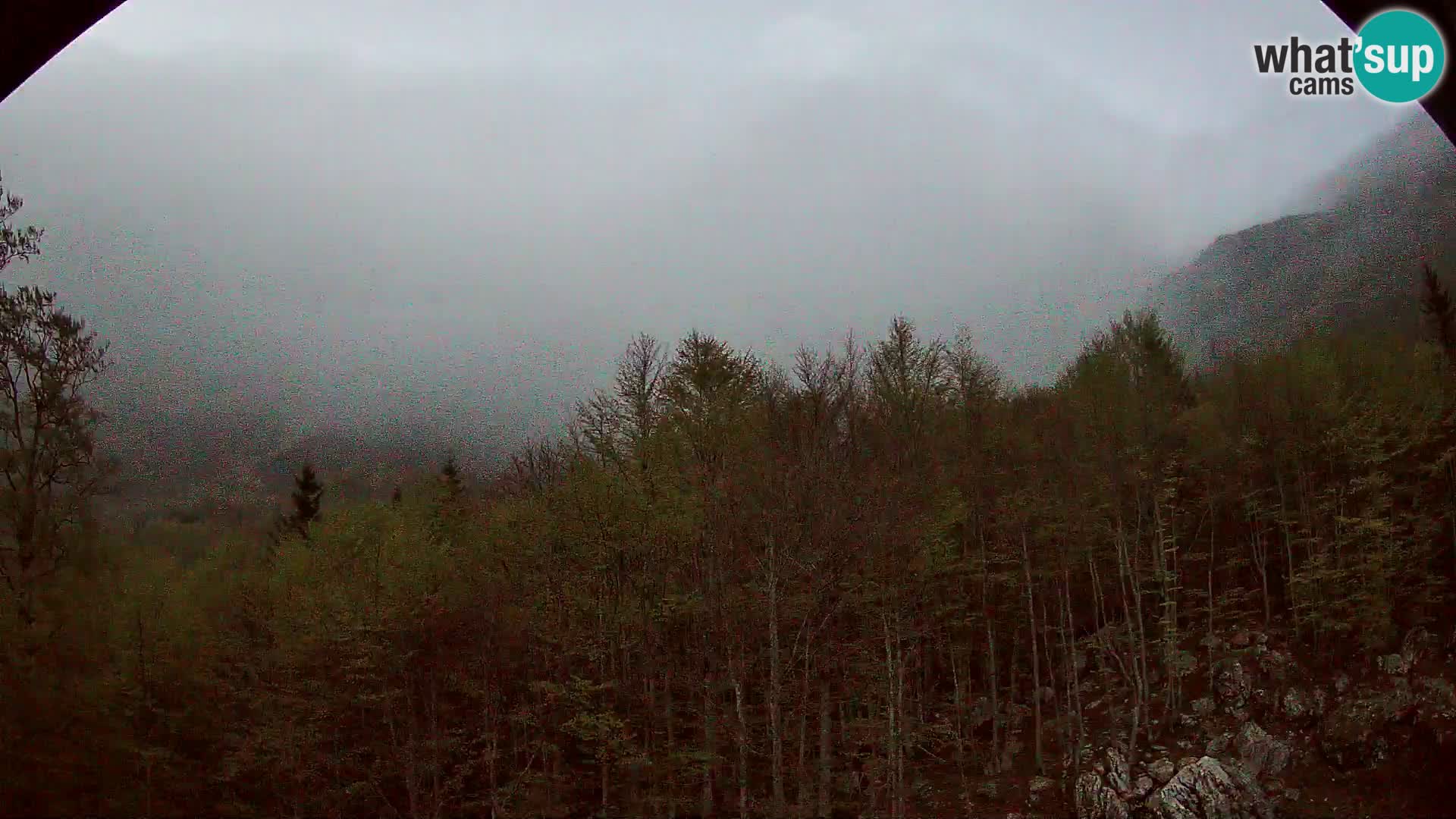 PLANINA RAZOR webcam (1315) | view to Vogel and Globoko