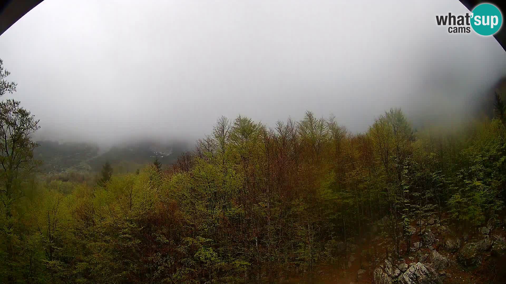 PLANINA RAZOR Live Cam (1315) | vista su Vogel e Globoko