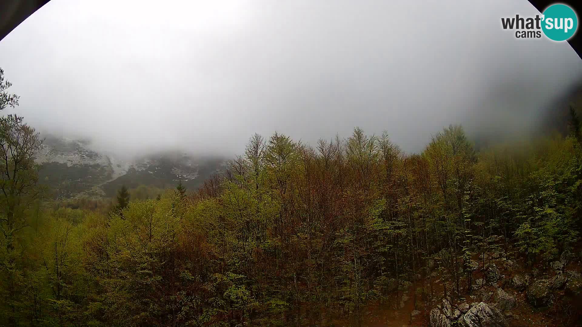 Livecam PLANINA RAZOR (1315) | vue sur Vogel et Globoko