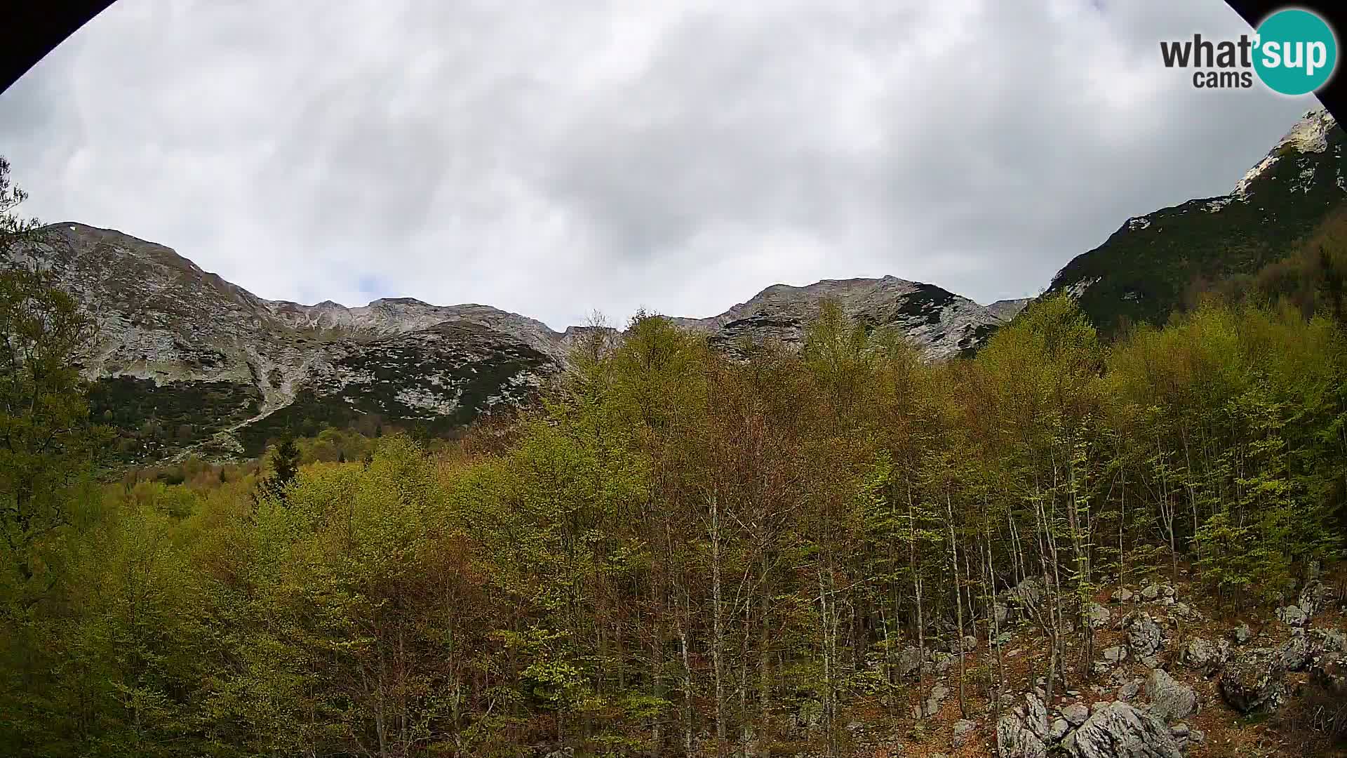 PLANINA RAZOR web kamera (1315) | pogled na Vogel i Globoko