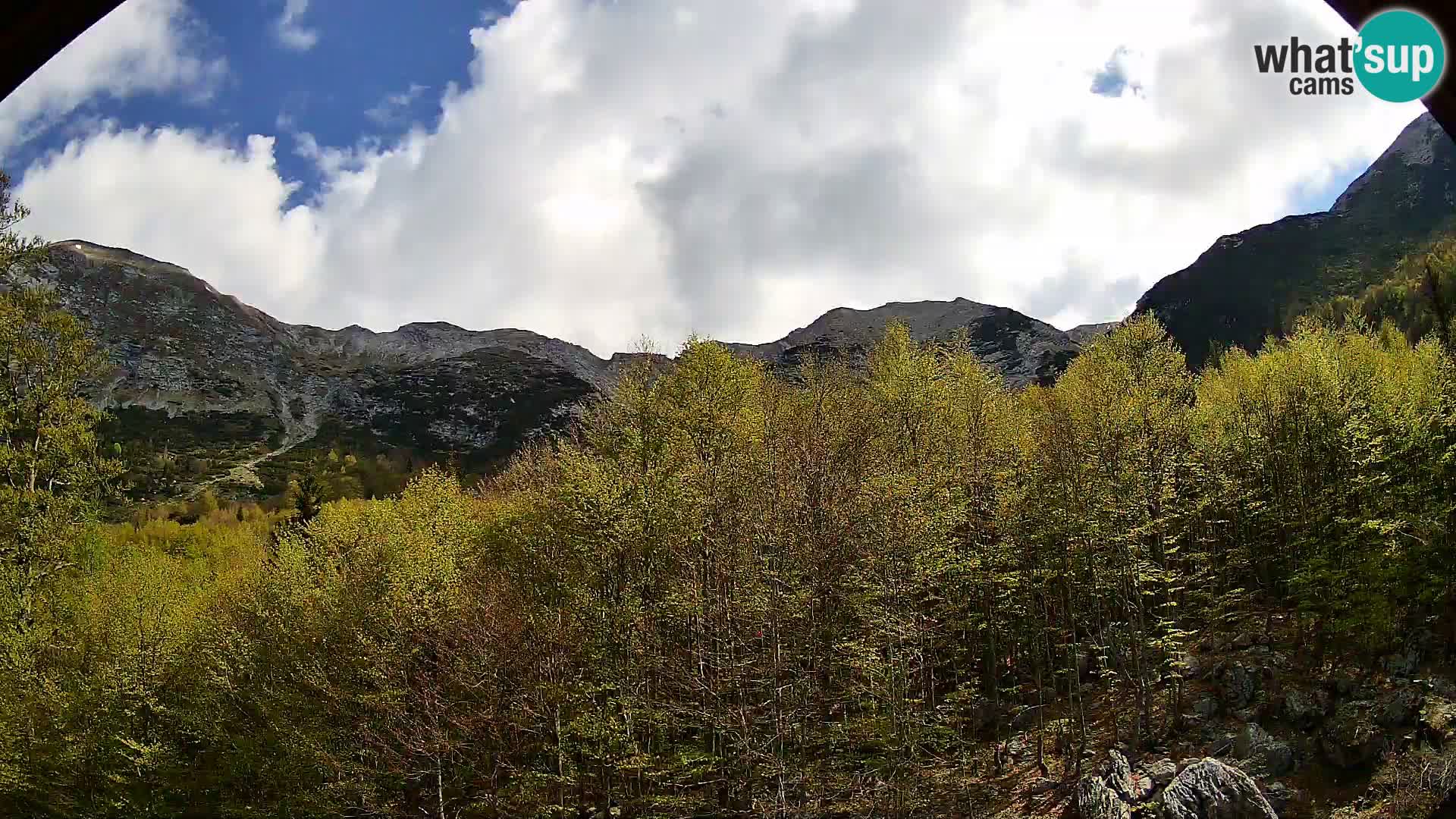 PLANINA RAZOR web kamera (1315) | pogled na Vogel i Globoko