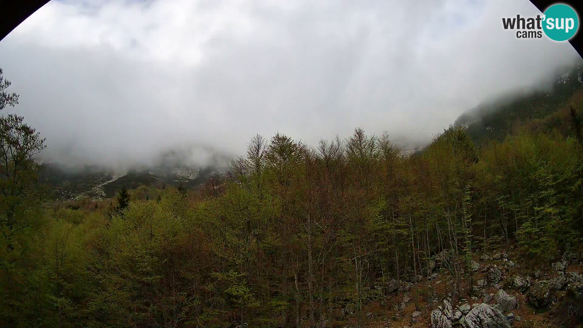 PLANINA RAZOR webcam (1315) | view to Vogel and Globoko