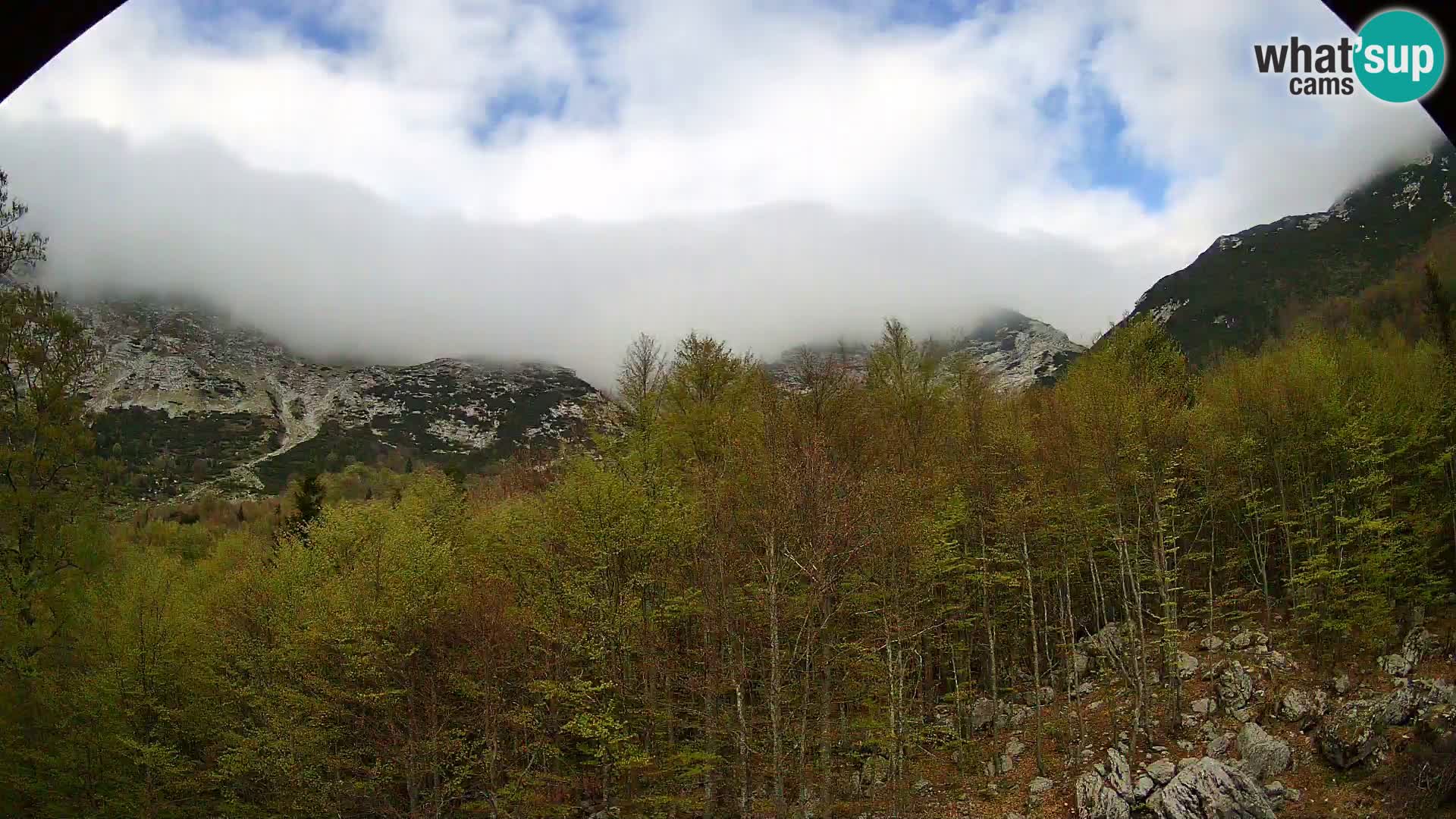 Livecam PLANINA RAZOR (1315) | vue sur Vogel et Globoko