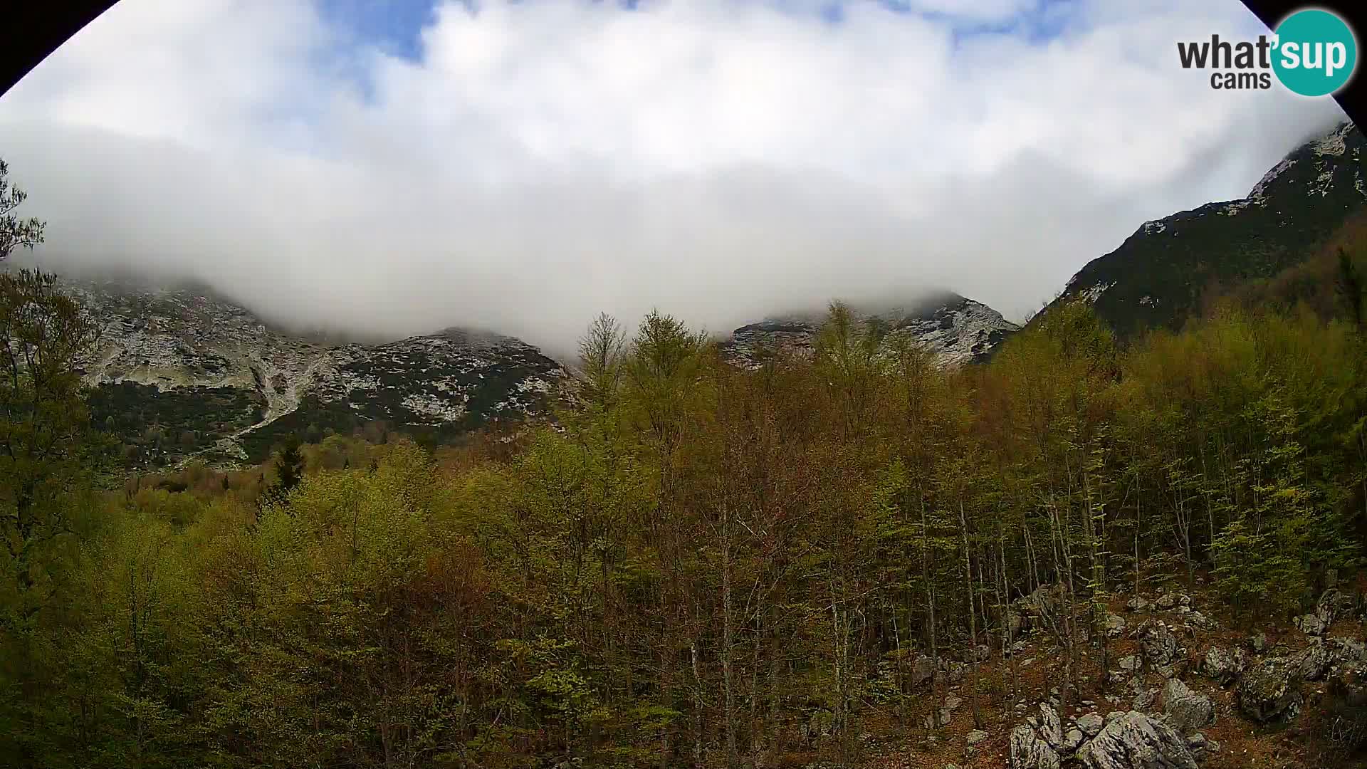 PLANINA RAZOR kamera (1315) | pogled na Vogel in Globoko