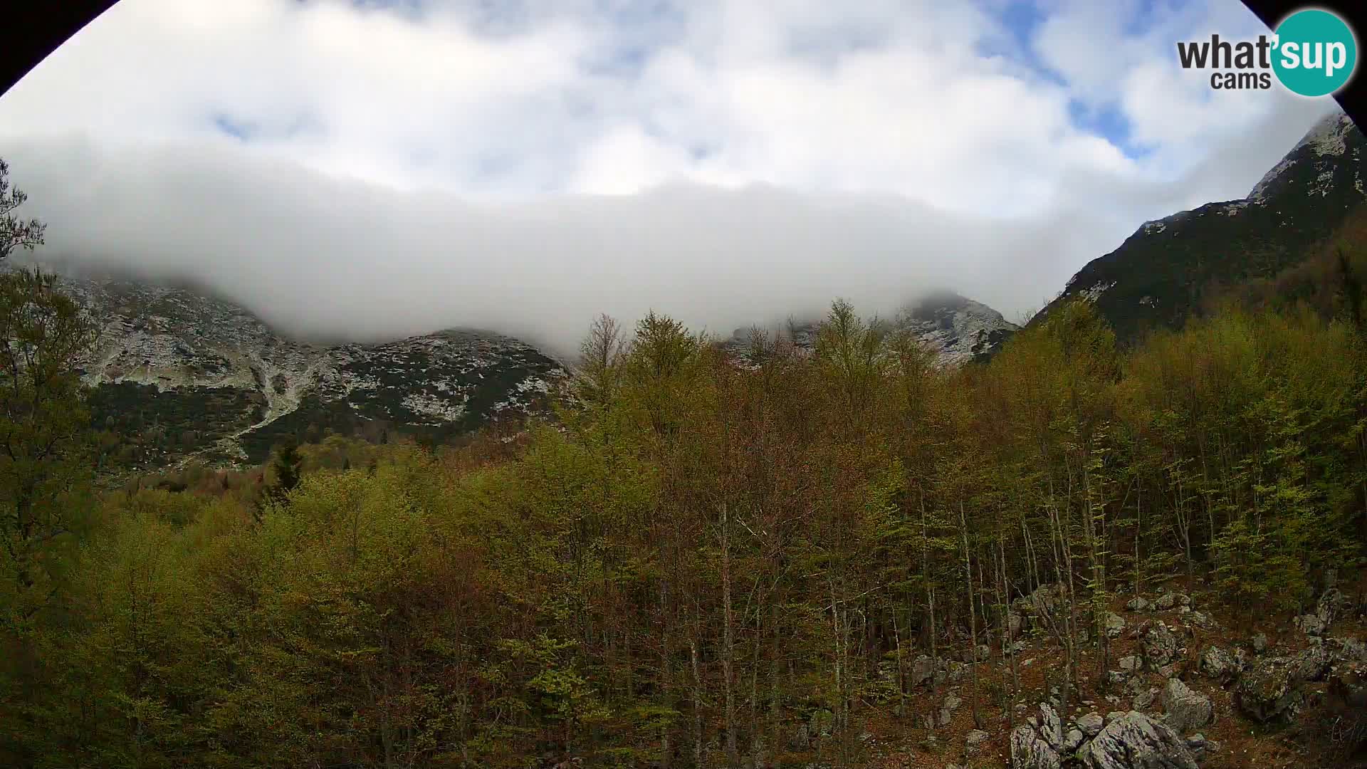 PLANINA RAZOR kamera (1315) | pogled na Vogel in Globoko