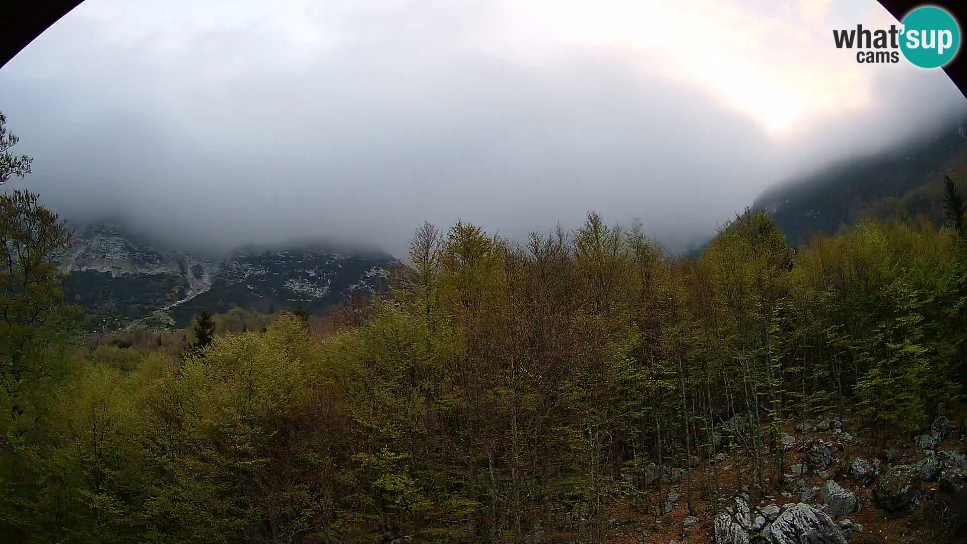 PLANINA RAZOR webcam (1315) | view to Vogel and Globoko