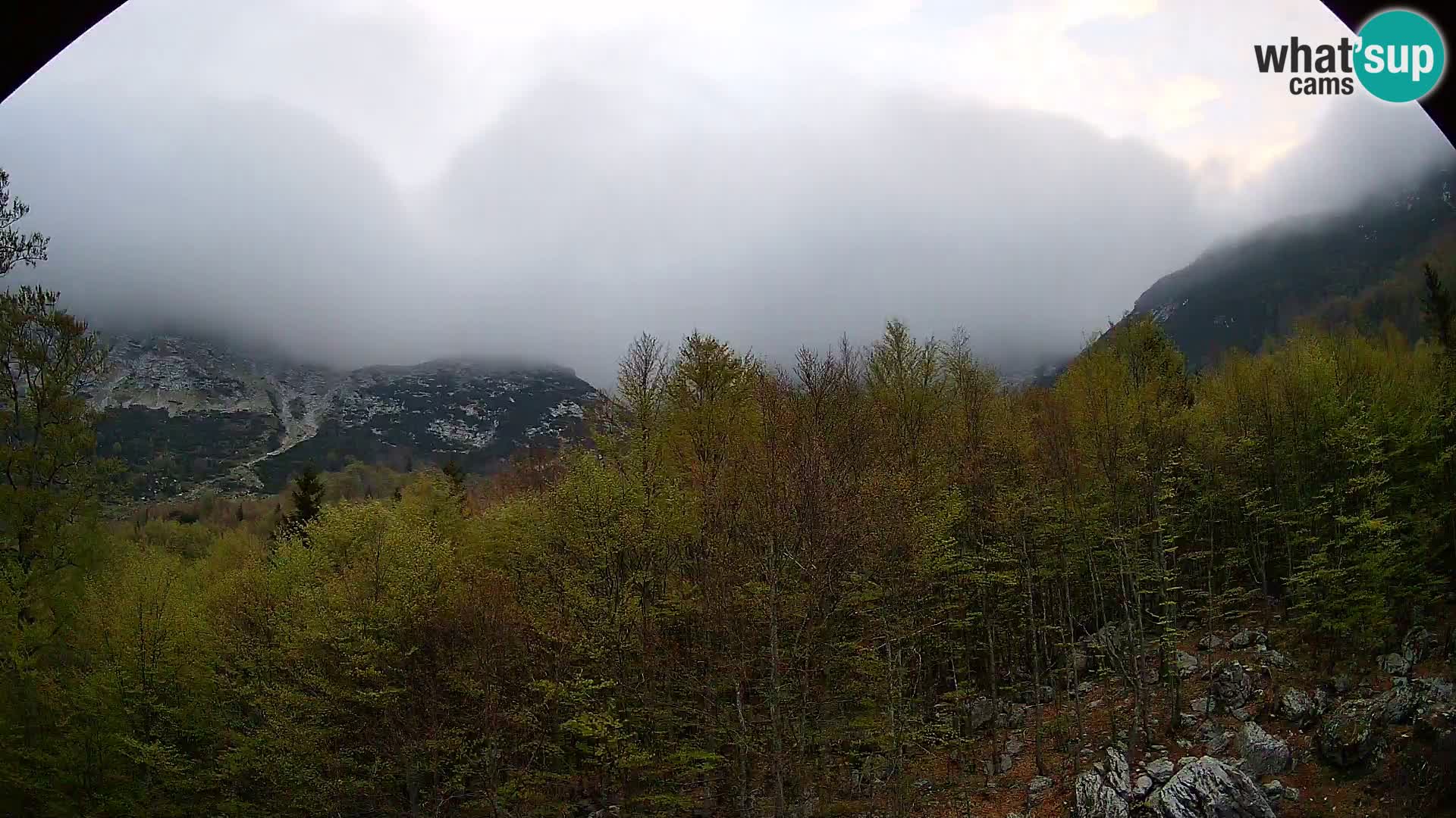 PLANINA RAZOR kamera (1315) | pogled na Vogel in Globoko