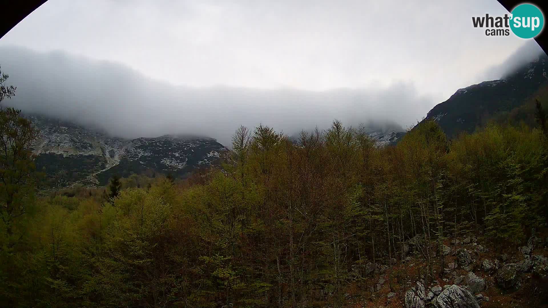 Livecam PLANINA RAZOR (1315) | vue sur Vogel et Globoko