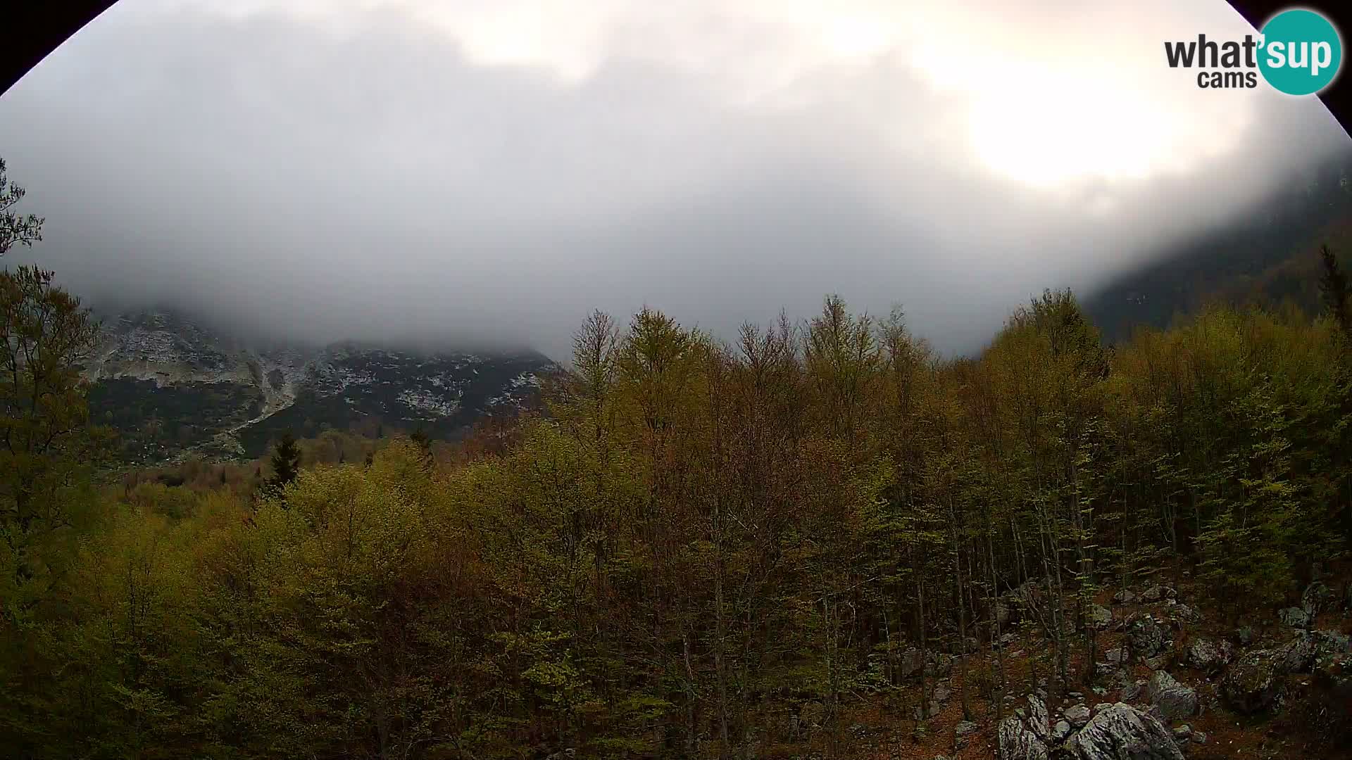 PLANINA RAZOR kamera (1315) | pogled na Vogel in Globoko