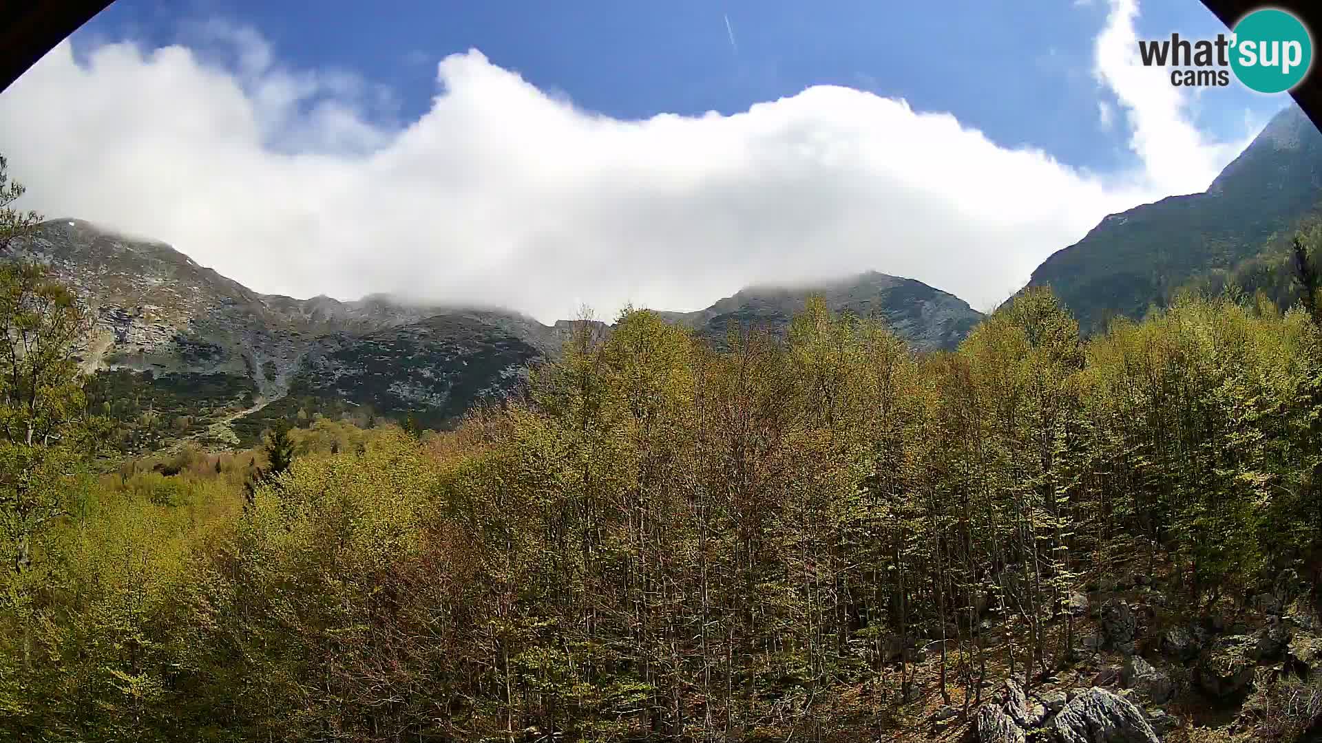 Livecam PLANINA RAZOR (1315) | vue sur Vogel et Globoko