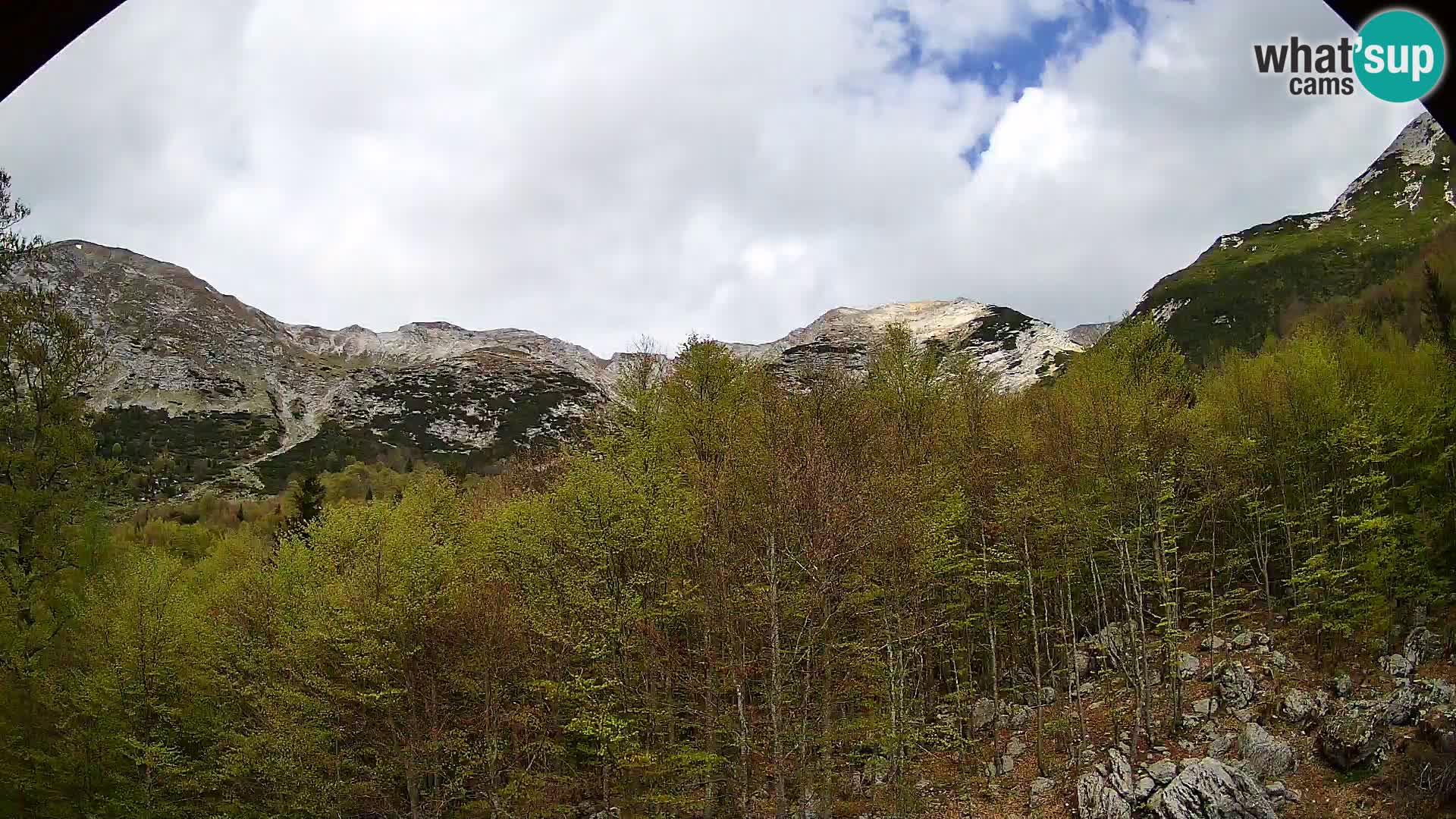 Webcam PLANINA RAZOR (1315) | Blick auf Vogel und Globoko