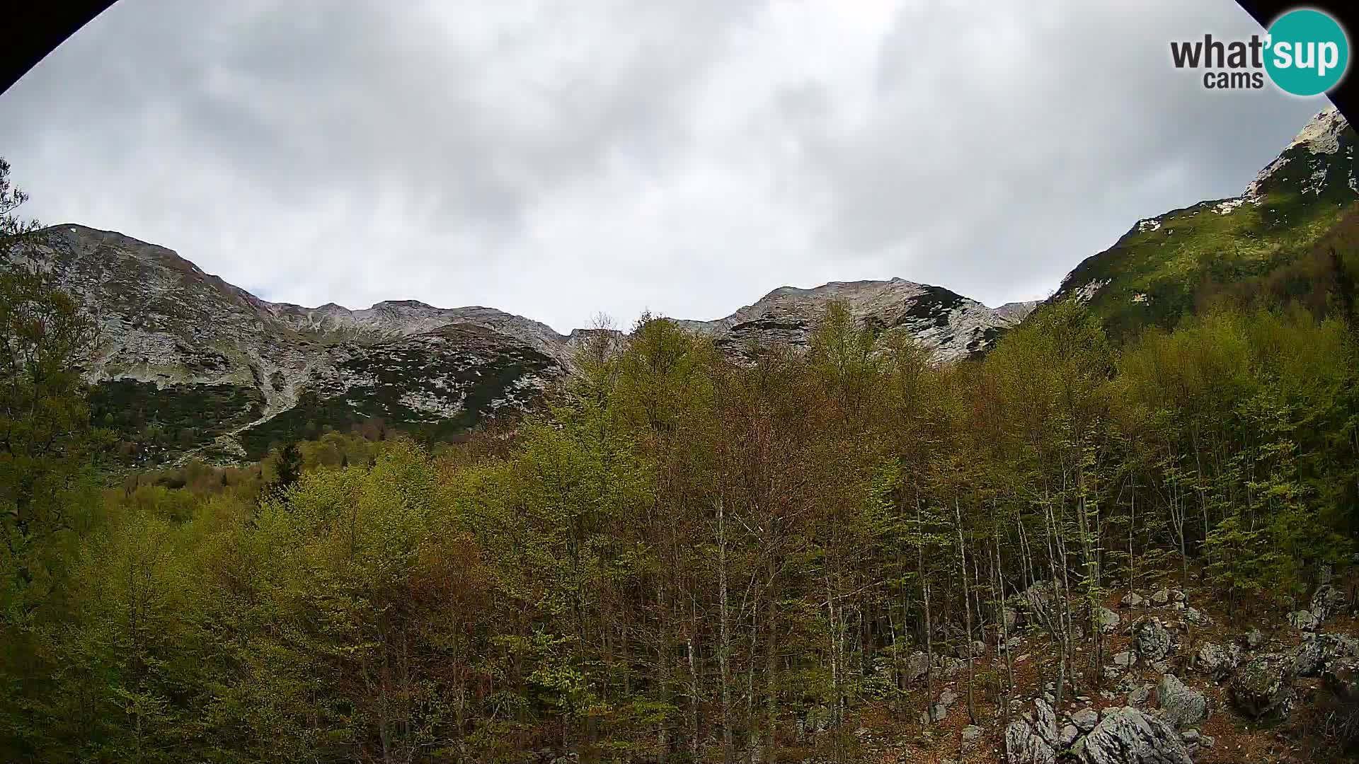 Livecam PLANINA RAZOR (1315) | vue sur Vogel et Globoko
