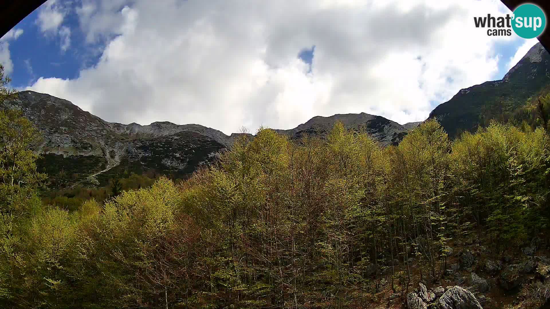 Webcam PLANINA RAZOR (1315) | Blick auf Vogel und Globoko