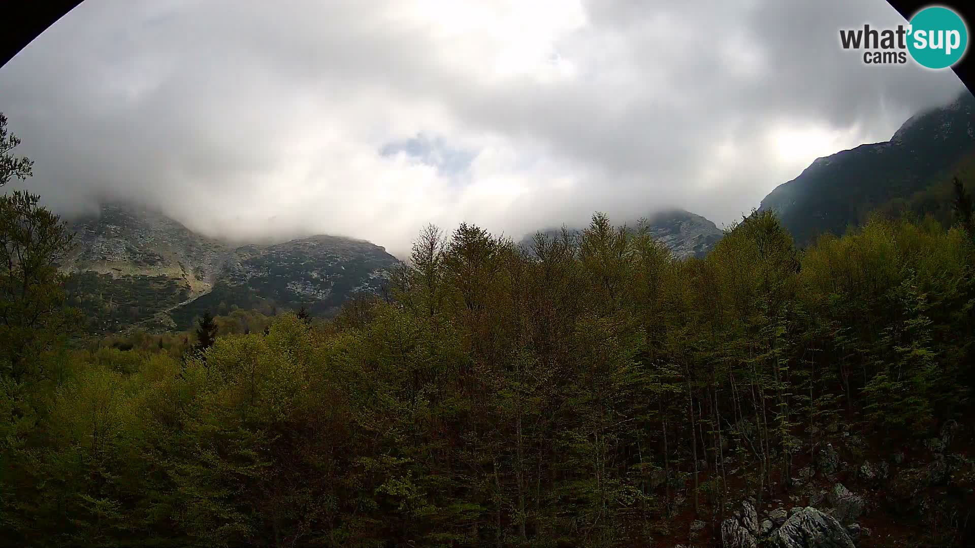 Webcam PLANINA RAZOR (1315) | Blick auf Vogel und Globoko