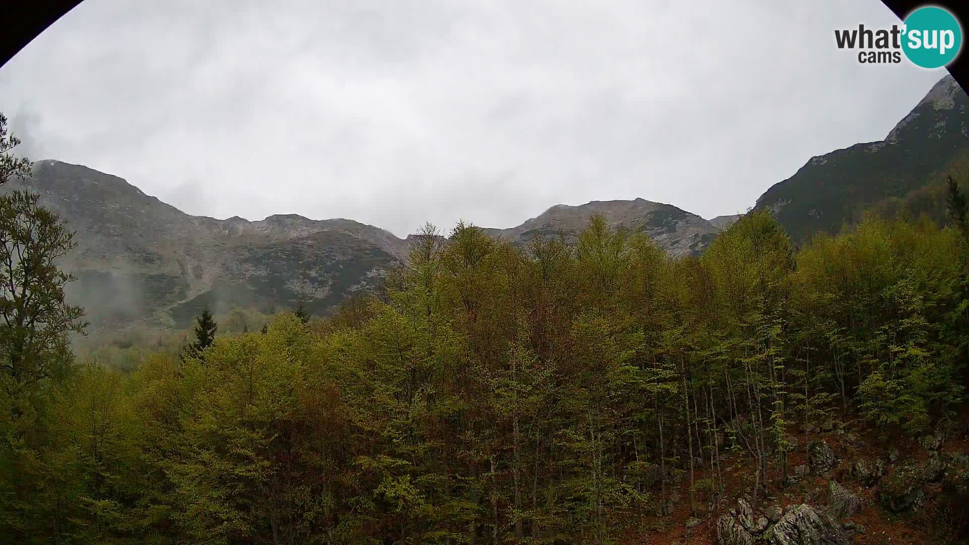 Webcam PLANINA RAZOR (1315) | Blick auf Vogel und Globoko