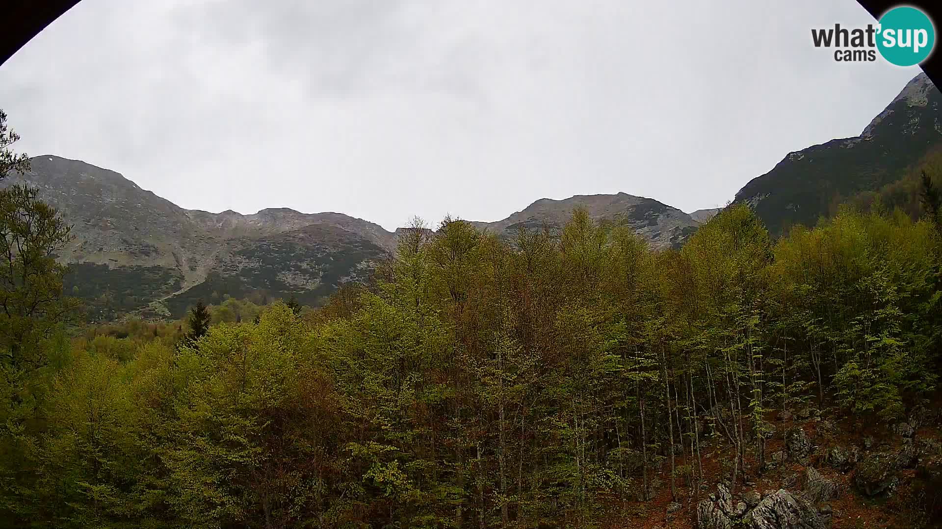 Webcam PLANINA RAZOR (1315) | Blick auf Vogel und Globoko