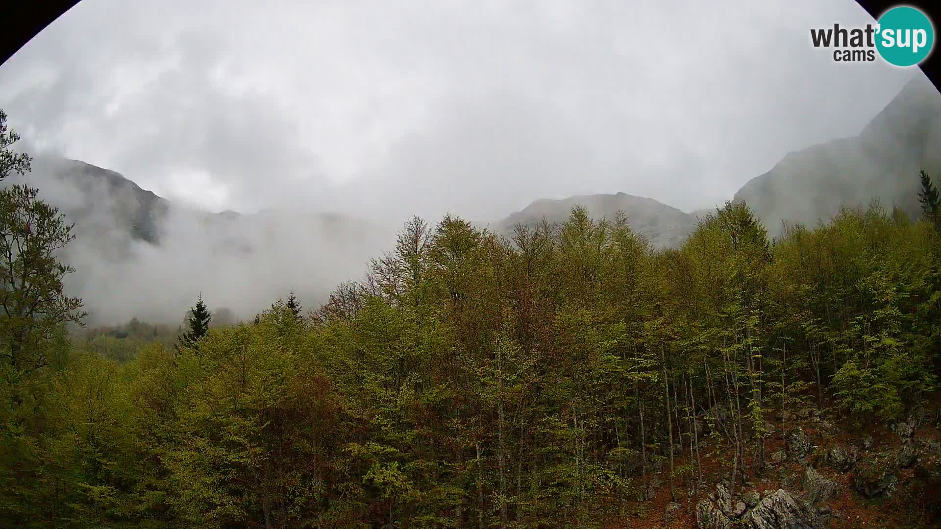 Livecam PLANINA RAZOR (1315) | vue sur Vogel et Globoko