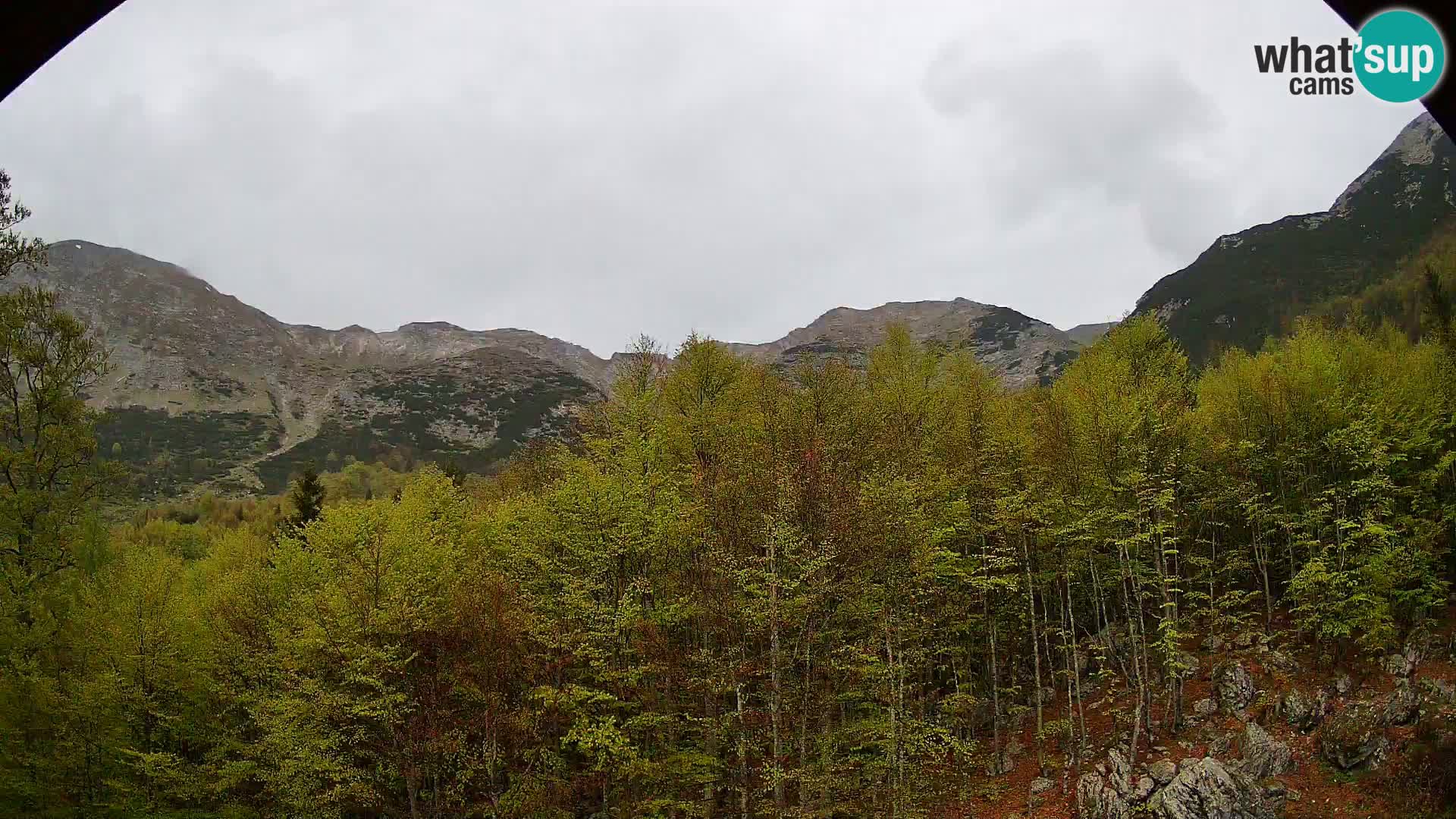 Webcam PLANINA RAZOR (1315) | Blick auf Vogel und Globoko