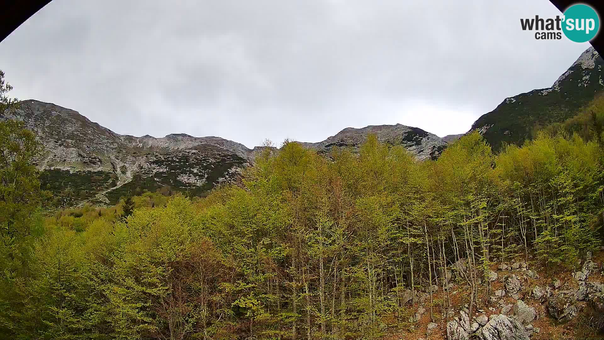 PLANINA RAZOR kamera (1315) | pogled na Vogel in Globoko